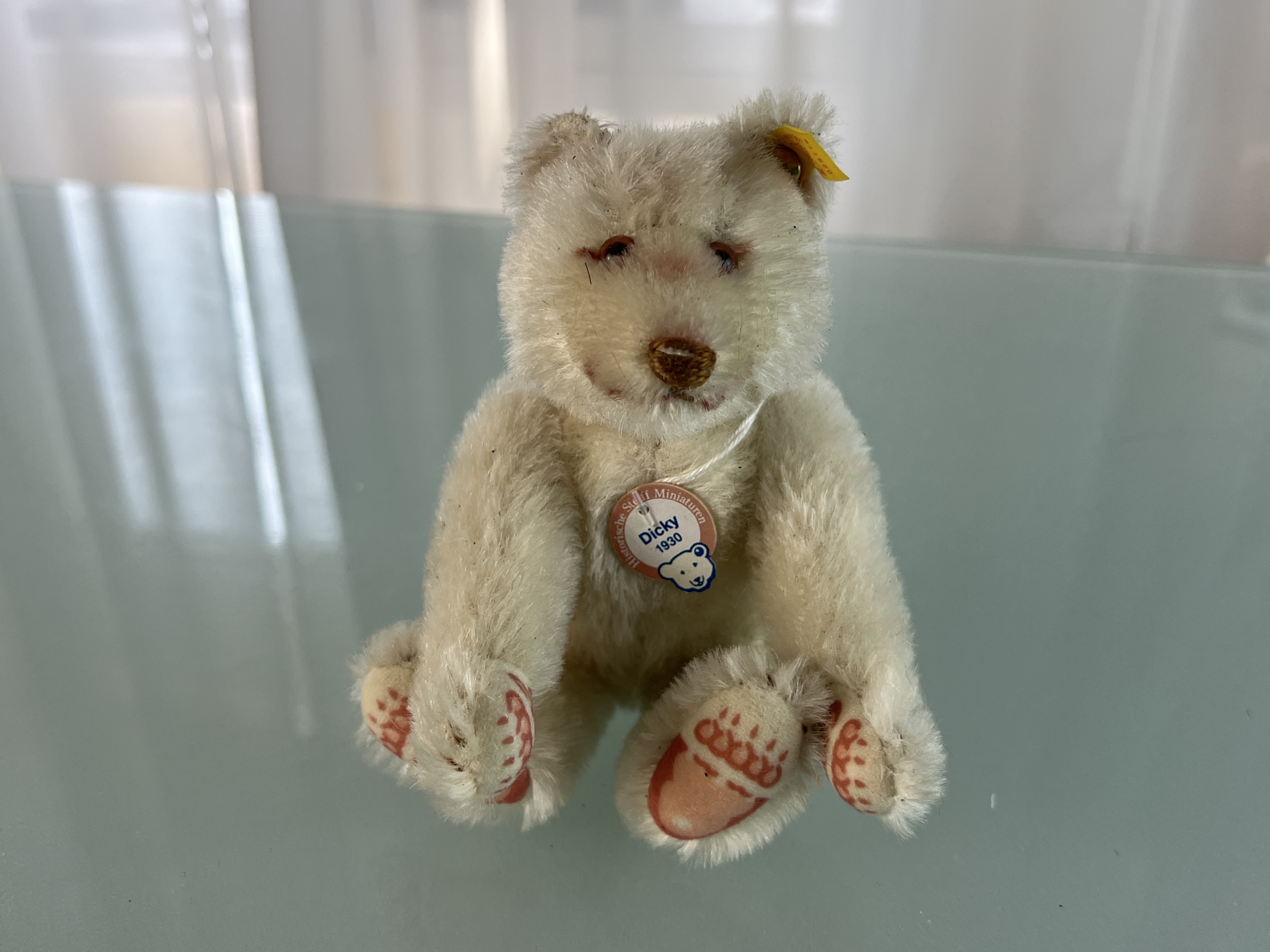 Steiff Tier Teddy Bär 029776 Dicky Sammler 16 cm. Top Zustand  