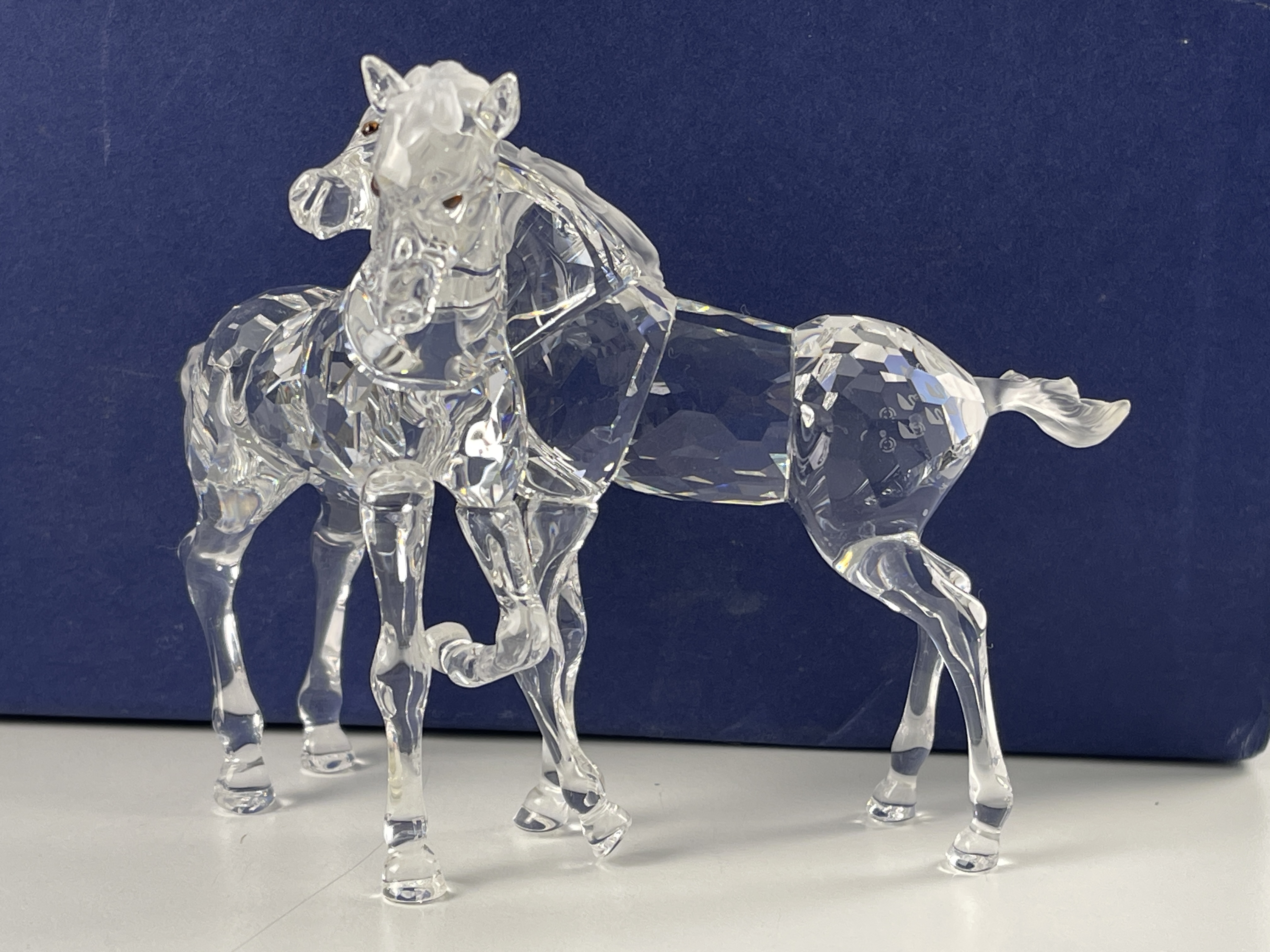  Swarovski Figur 627637 Fohlen 11,3 cm. Inkl. Ovp + Zertifikat - Top Zustand  