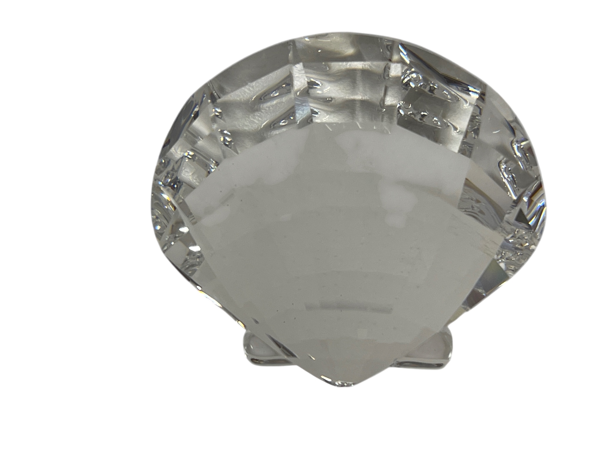 Swarovski Figur 833506 Muschel 5 cm Top Zustand  