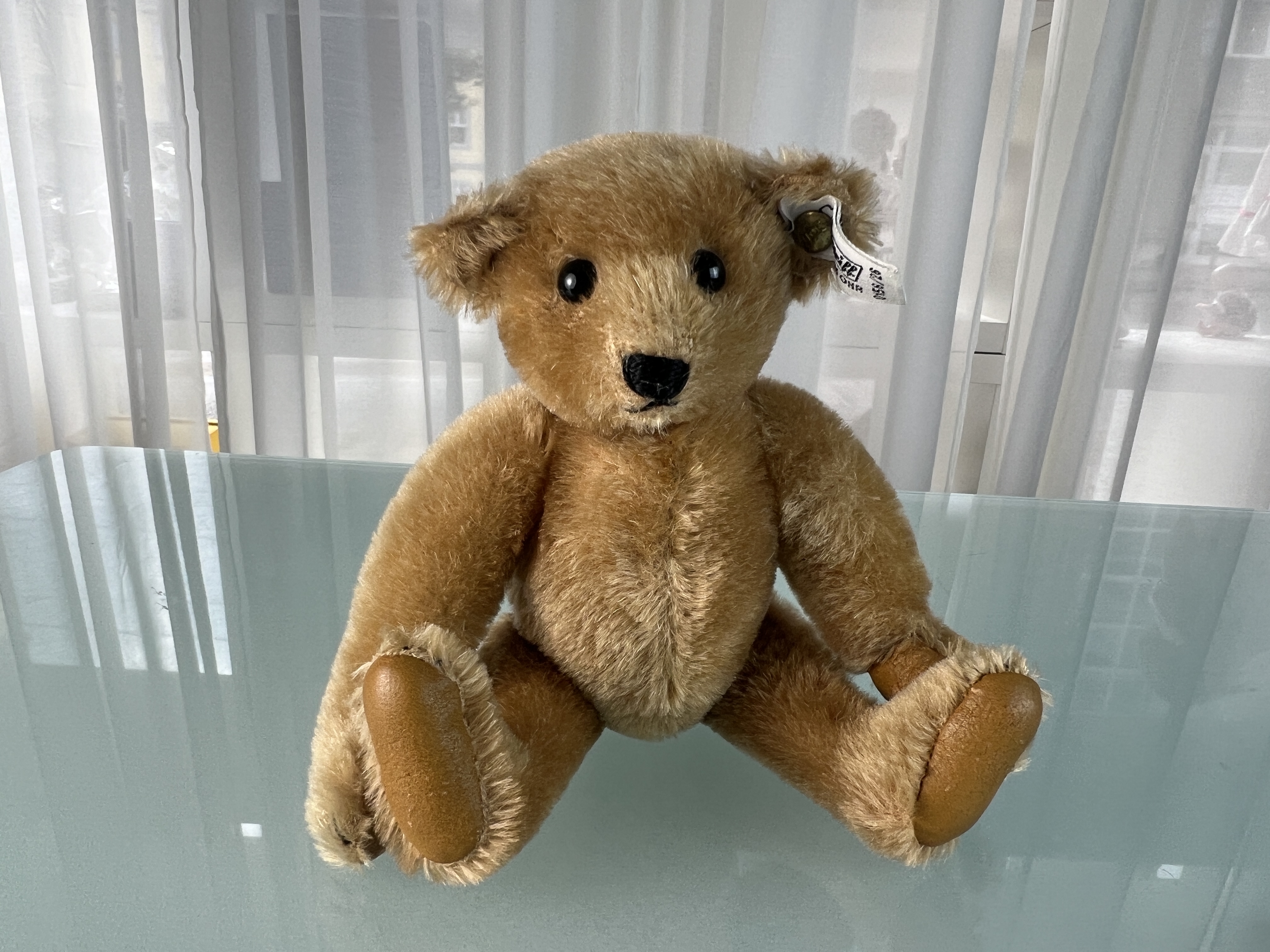 Steiff Tier 0156/26 Teddybär Bär 23 cm. Top Zustand 