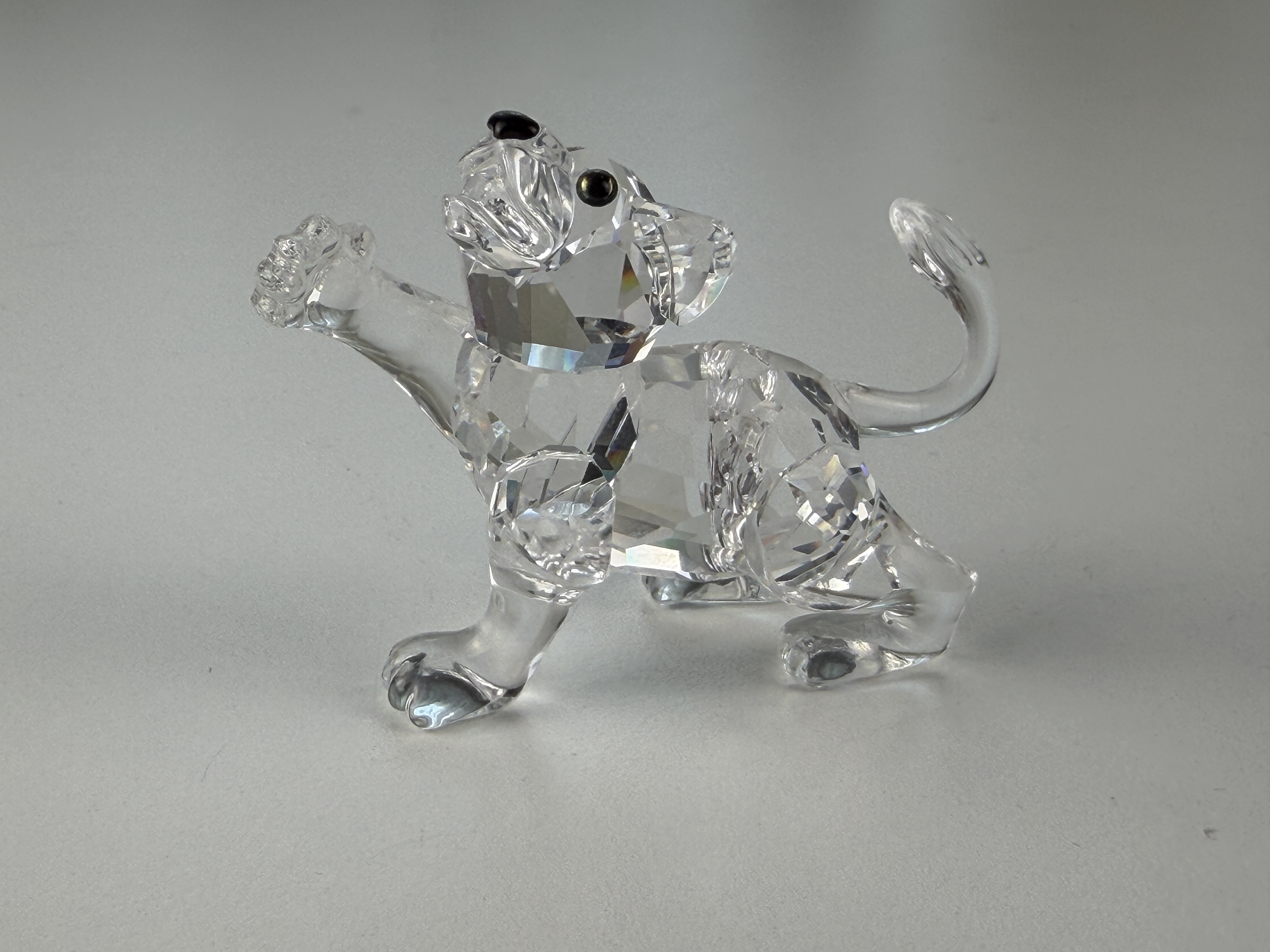  Swarovski Figur 210460 Baby Löwe, Jungtier 6,5 cm. Top Zustand 