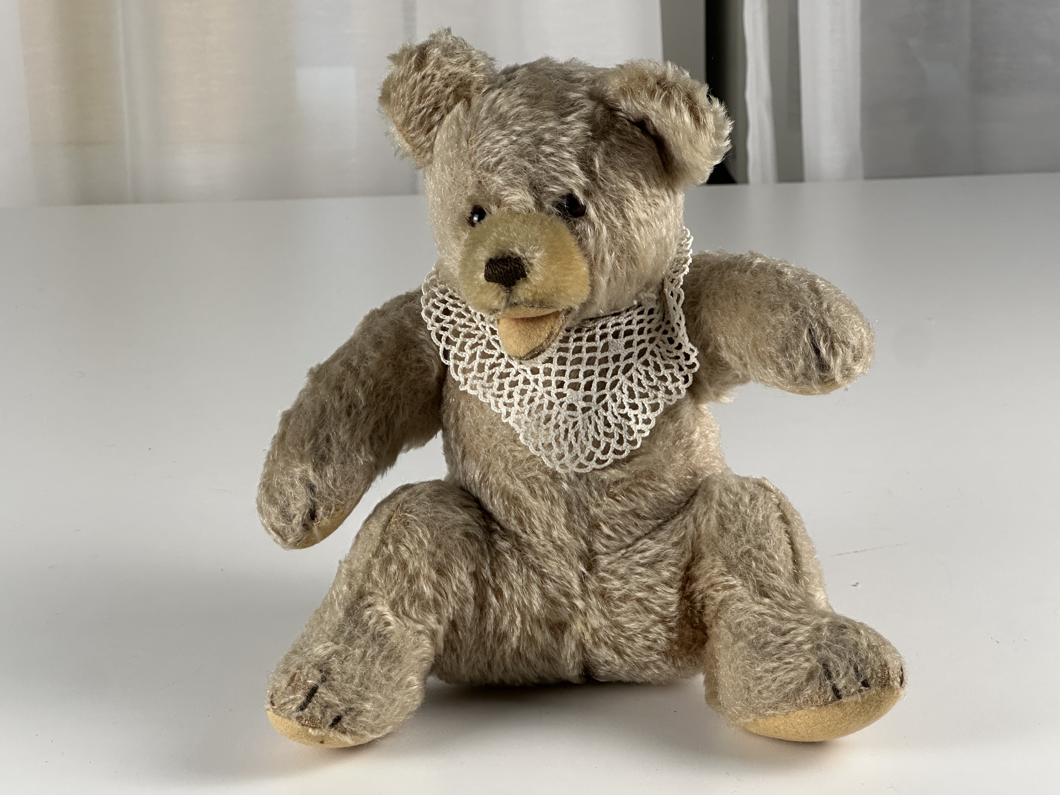 Steiff Tier Sammler Teddy Bär 22 cm Top Zustand