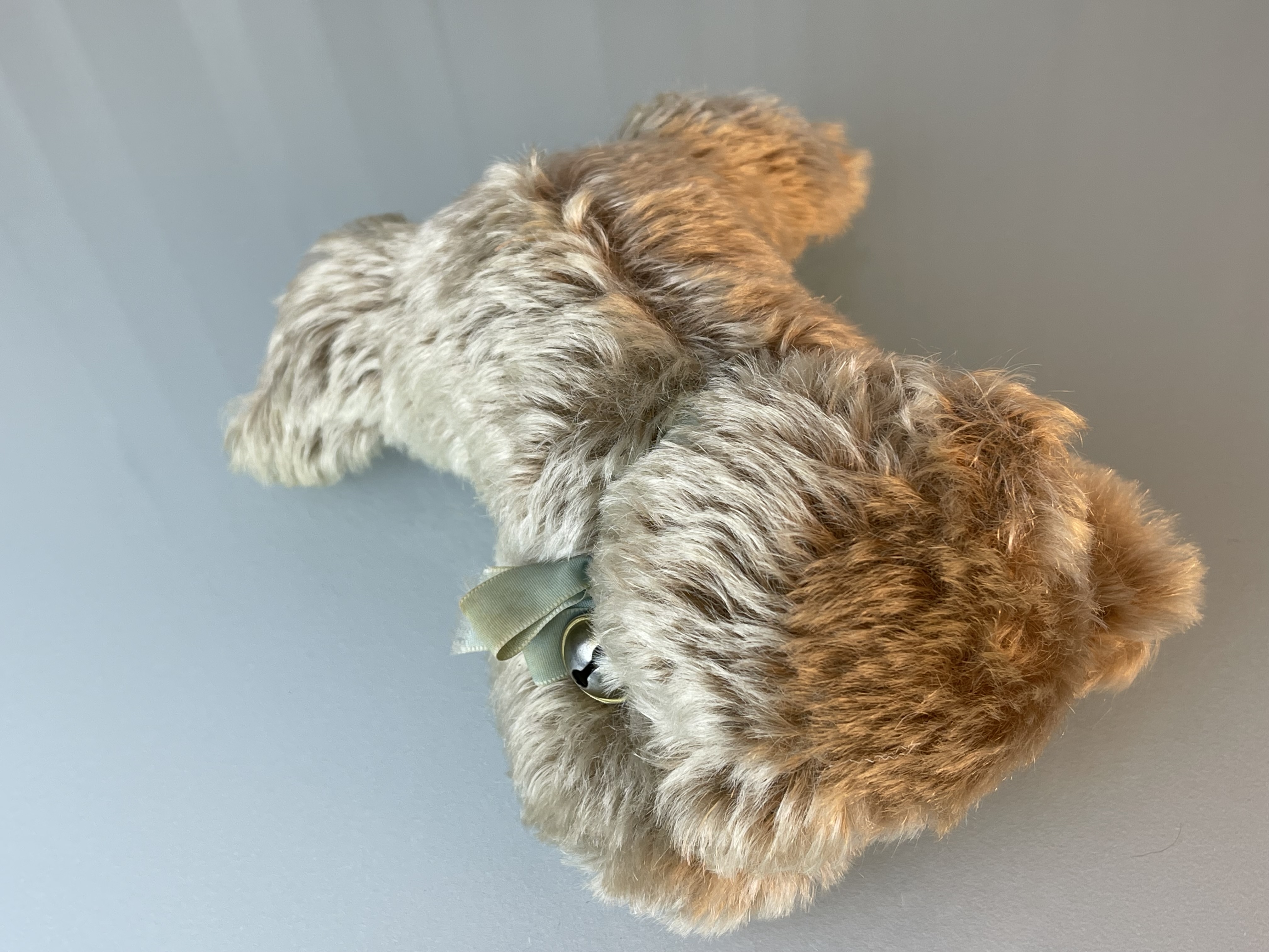 Steiff Tier Teddy Bär 15 x 15 cm Top Zustand.    