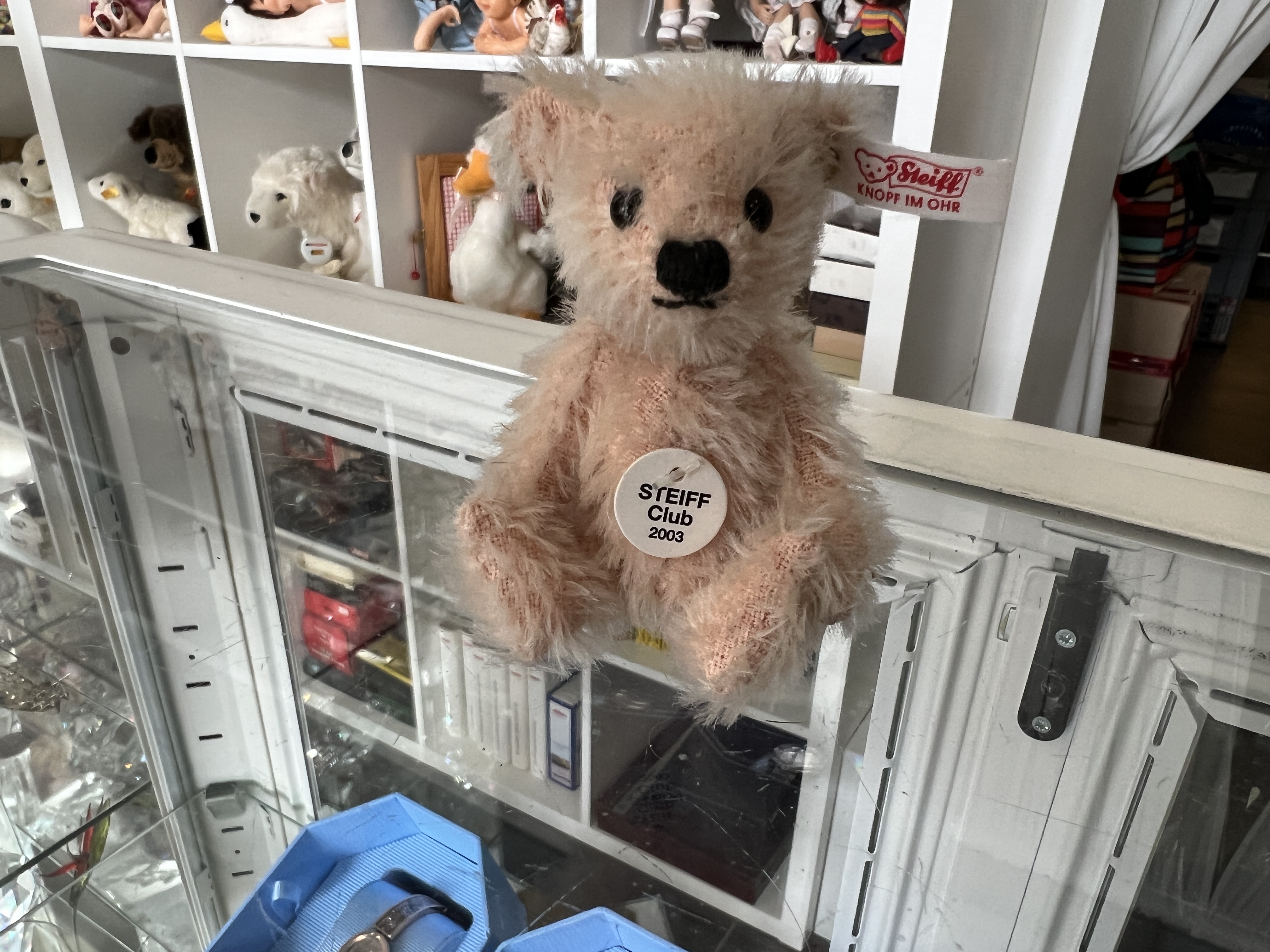 Steiff Tier Teddy Bär Club 2003 Bär. Top Zustand    