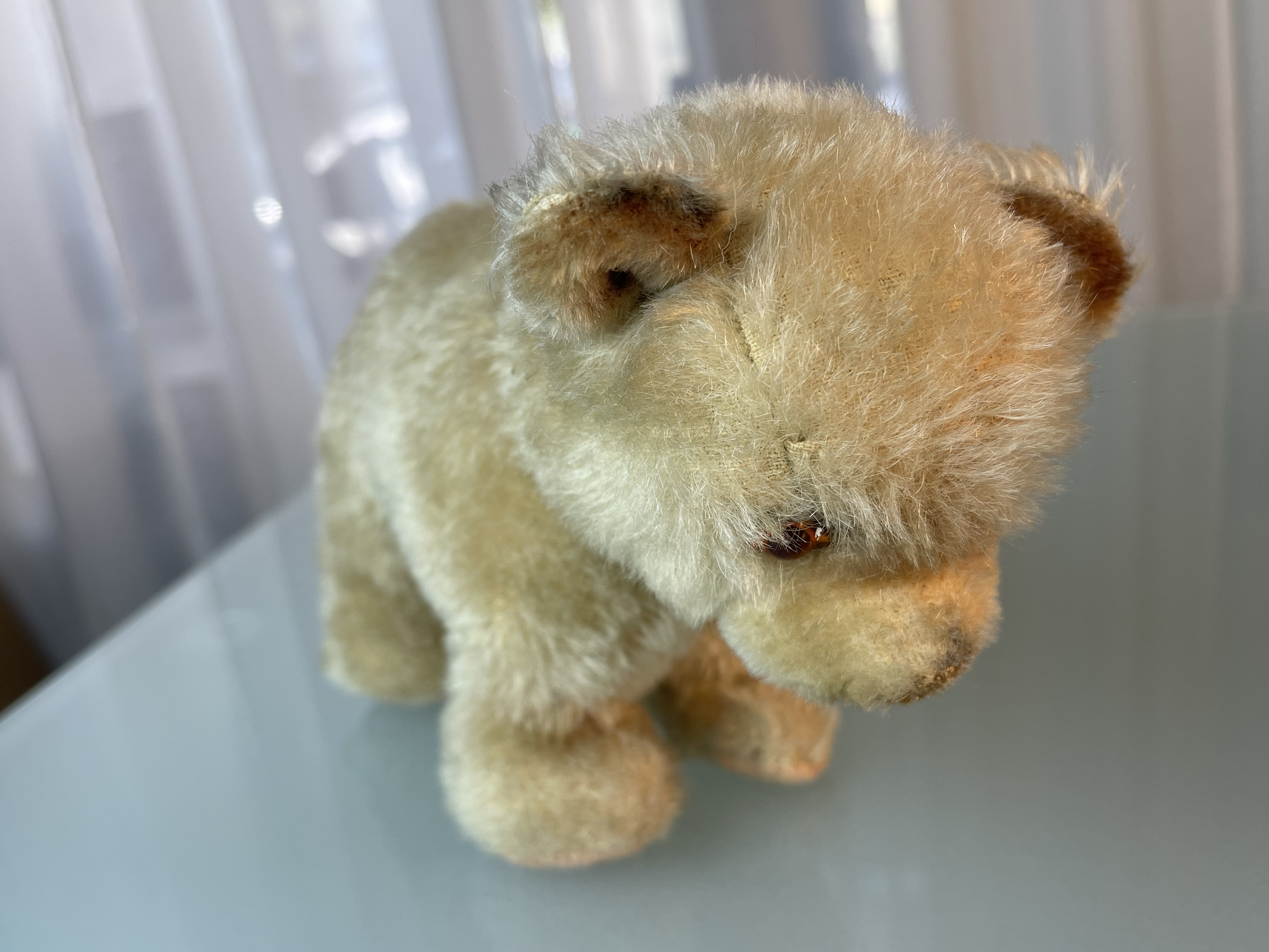 Steiff Tier Teddy Bär 21 x 14 cm Top Zustand.   