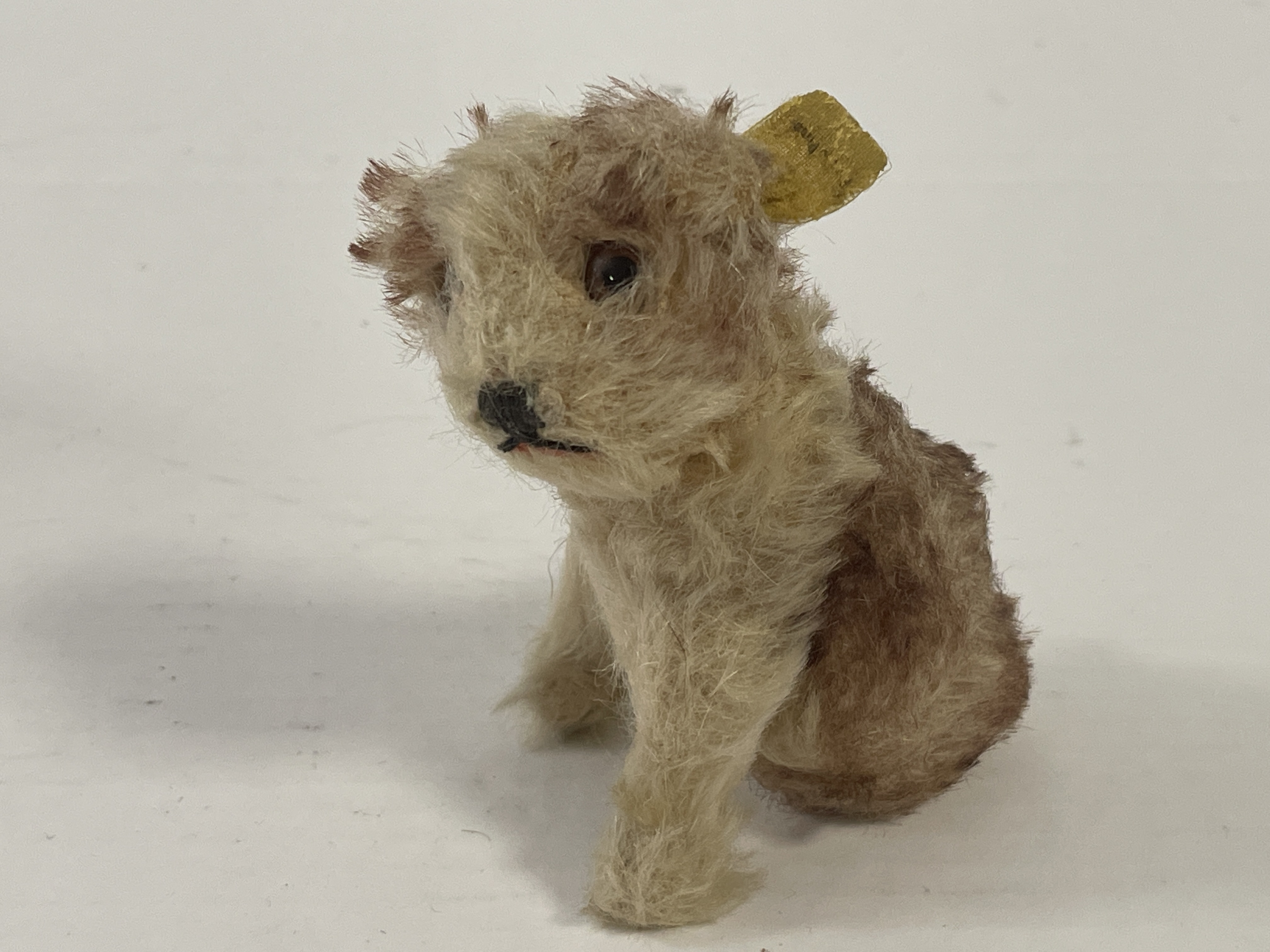 Alter Steiff Hund Molly 10 cm Zustand Siehe Fotos 