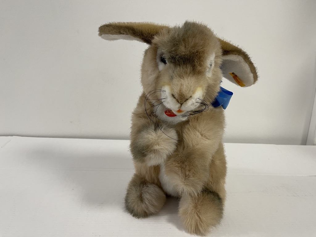 Steiff Hase Putsi 077876 Top Zustand 45 cm Top Zustand  