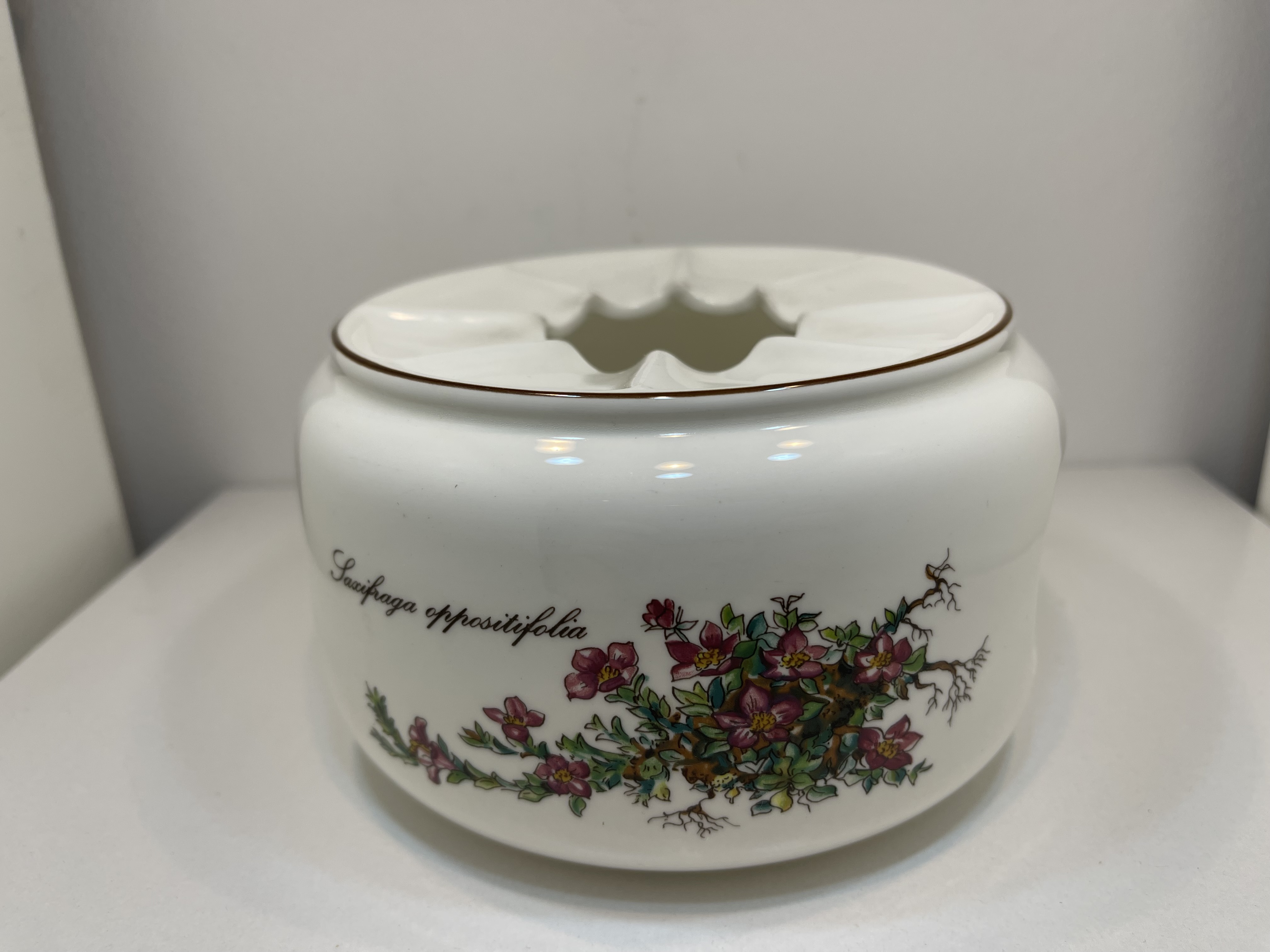 Villeroy und Boch Porzellan Topfuntersetzer & Stövchen 14 x 10 cm 1 Wahl Top Zustand  