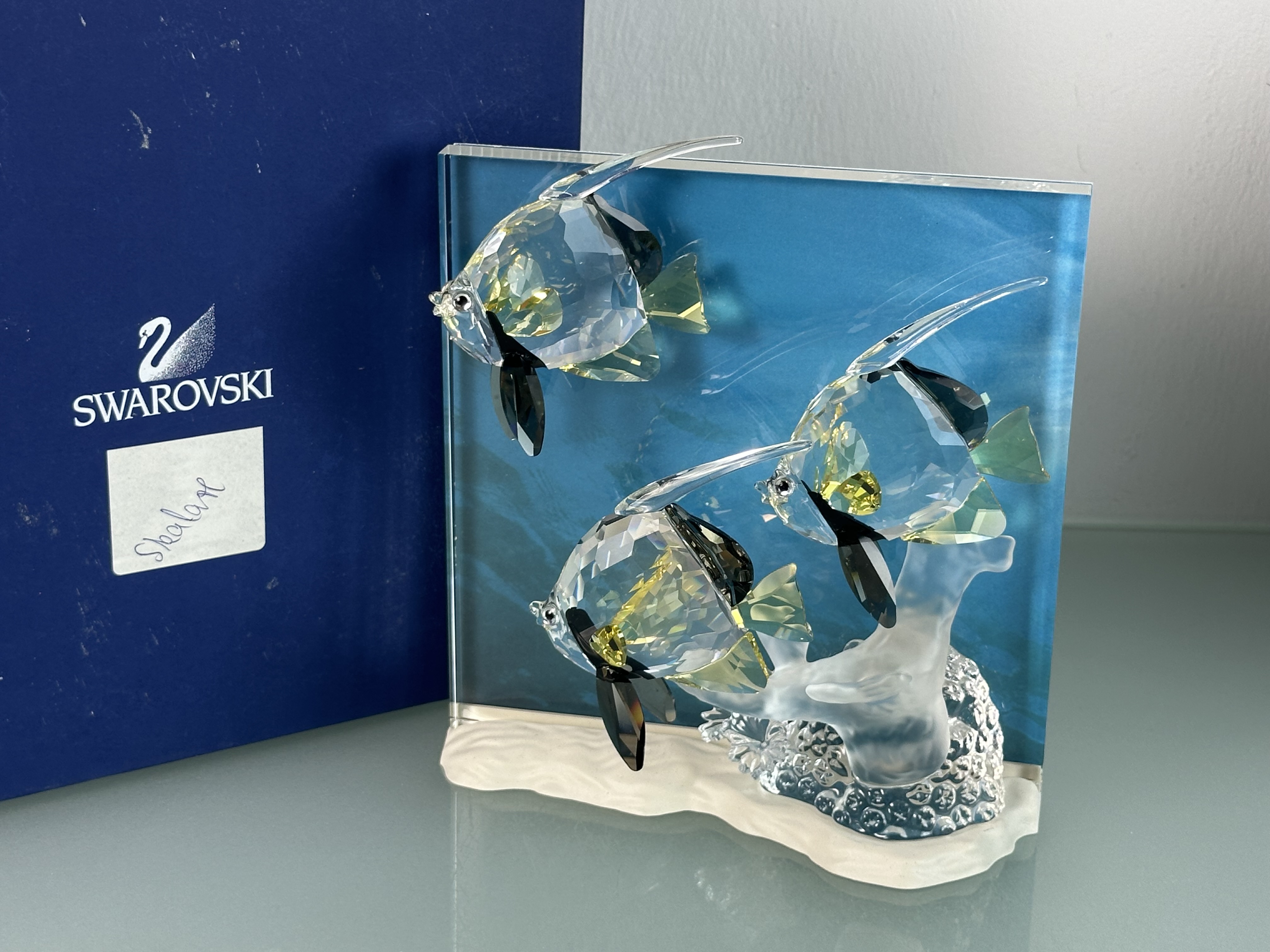 Swarovski Figur 854650 Wonders of the Sea Community 20 cm. Inkl. Kiste. Top Zustand