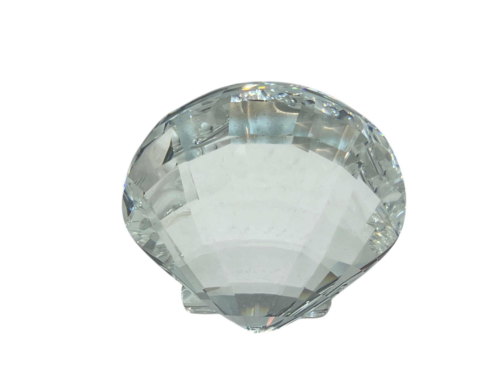  Swarovski Figur 833506 Muschel 5 cm- . Top Zustand  