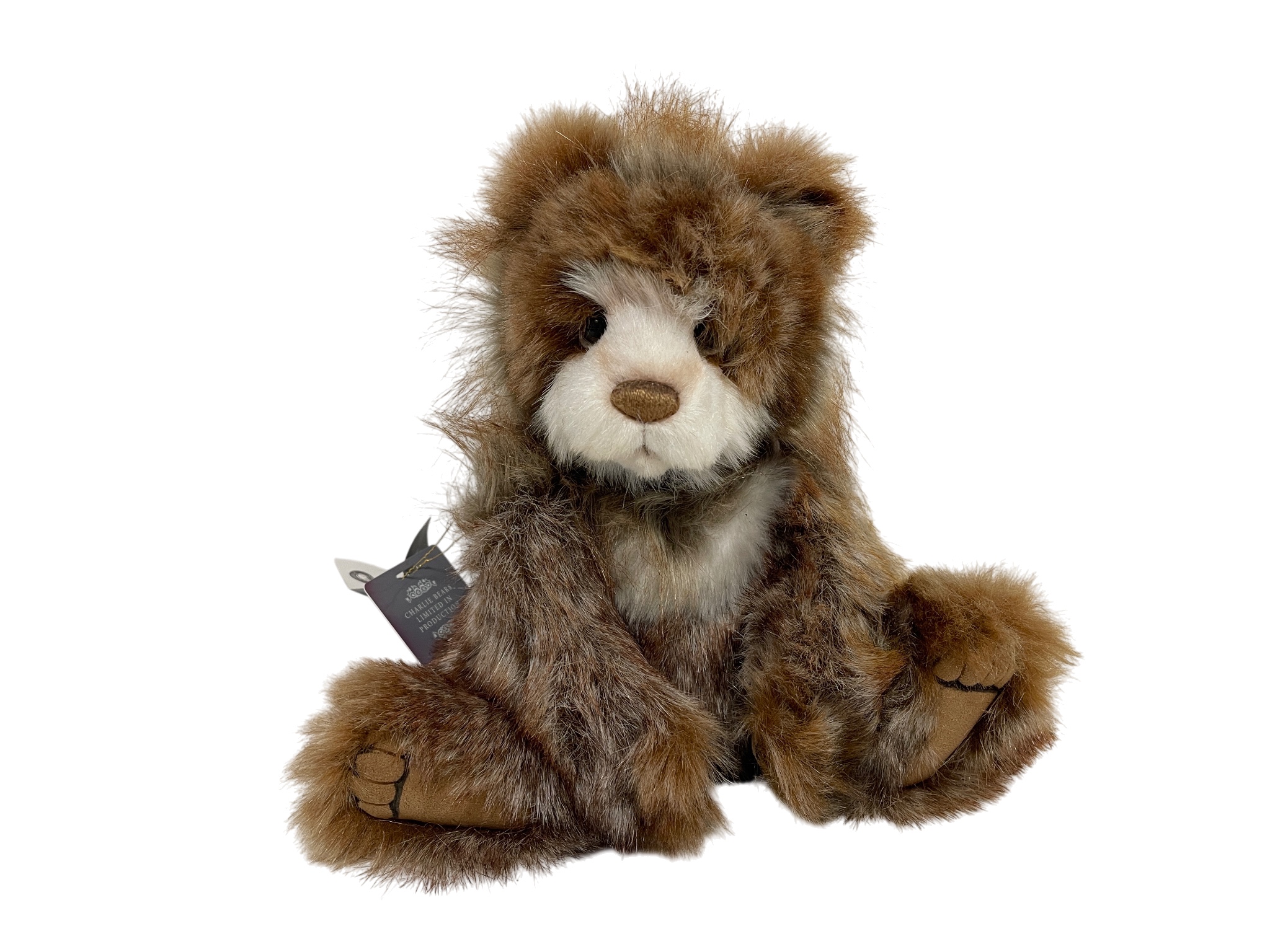 Künstler Teddybär Charlie Bears 30 cm Top Zustand   