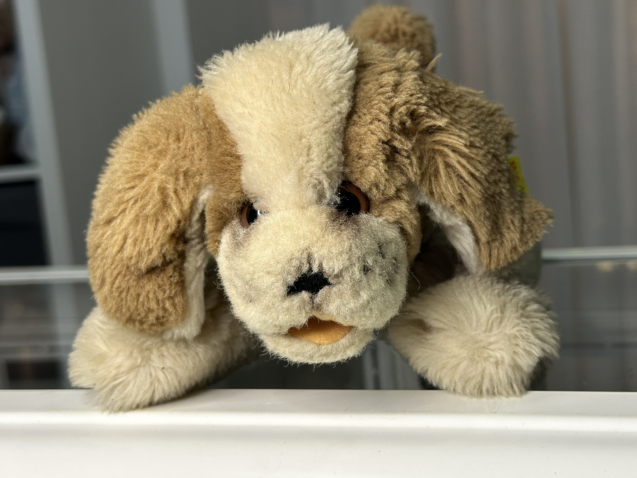 Steiff Tier 5530/25 Hund 23cm Zustand siehe Bilder 