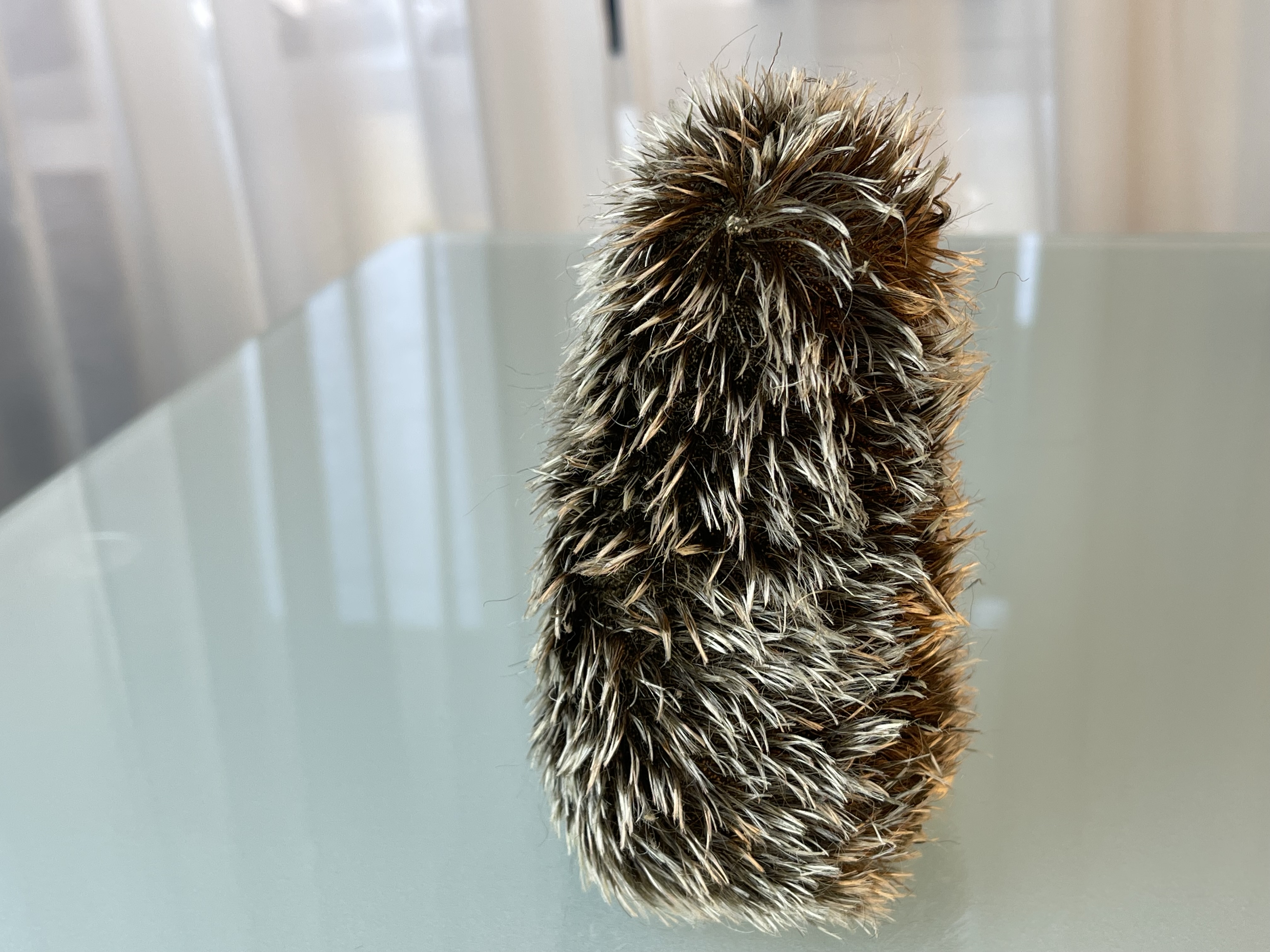 Steiff Stofftier Tier Igel 14 cm. - Top Zustand   