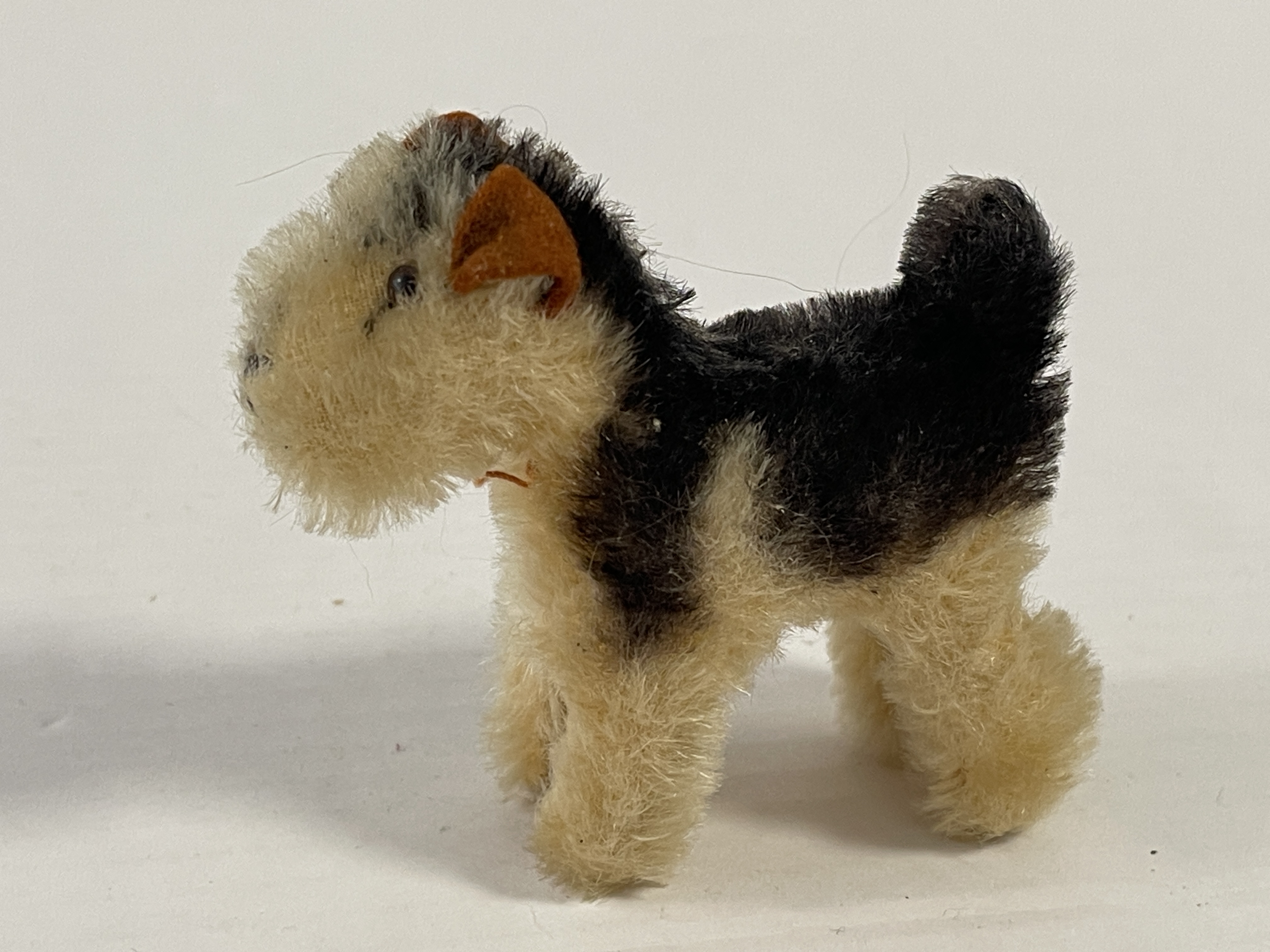 Steiff Tier Terrier Hund 8 cm. Zustand siehe Fotos 