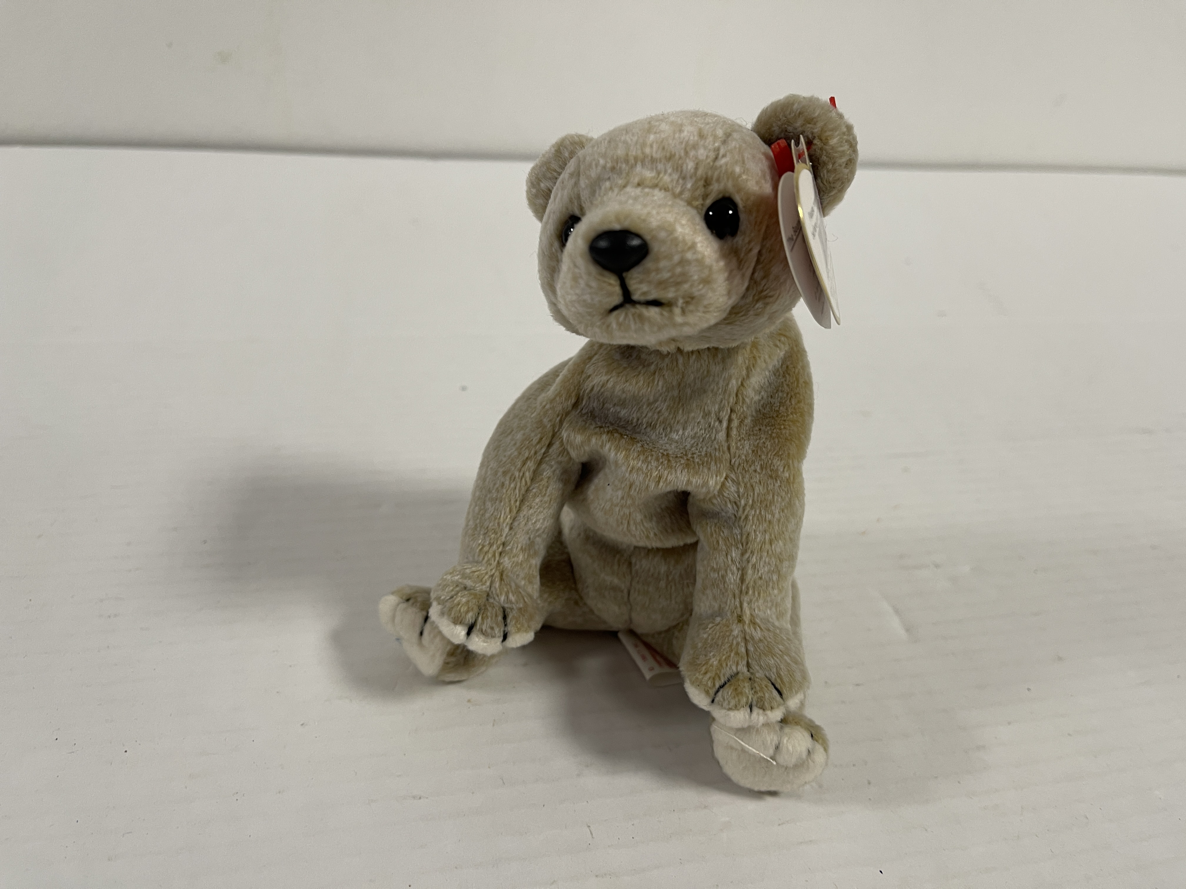 Sammler Stofftier Beanie Babies - Bär - 16 cm. Top Zustand