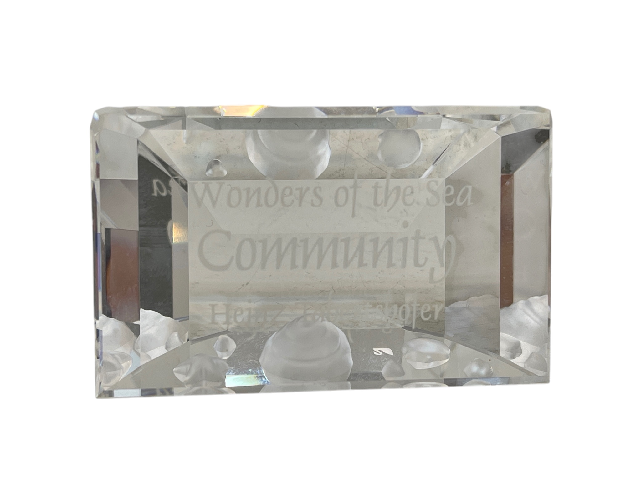 Swarovski Figur 898130 Schild Community. Guter Zustand   