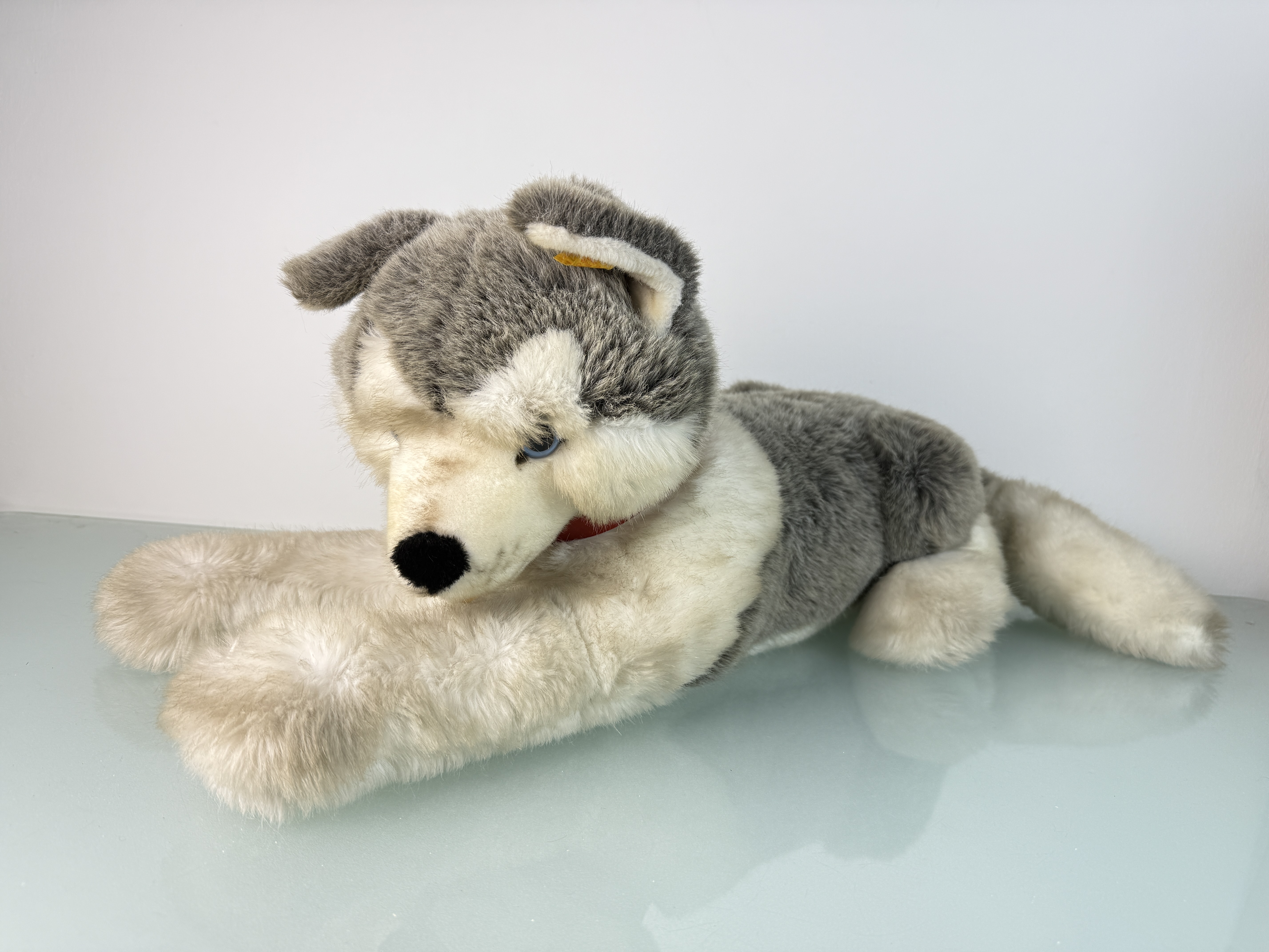 Steiff Tier 0460/60 Hund Husky liegend 60 cm. Top Zustand   