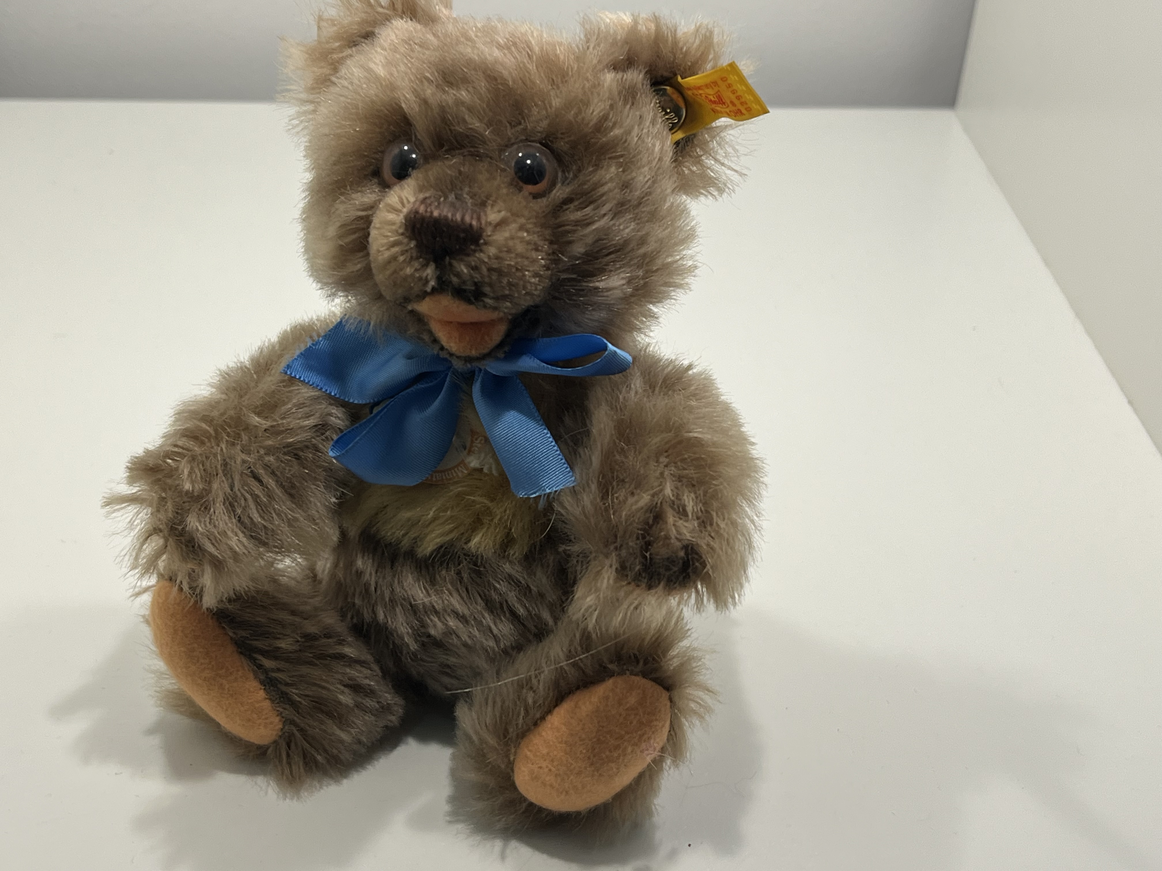 Steiff Tier 029950 Zotty Teddy Bär 16 cm - Top Zustand   