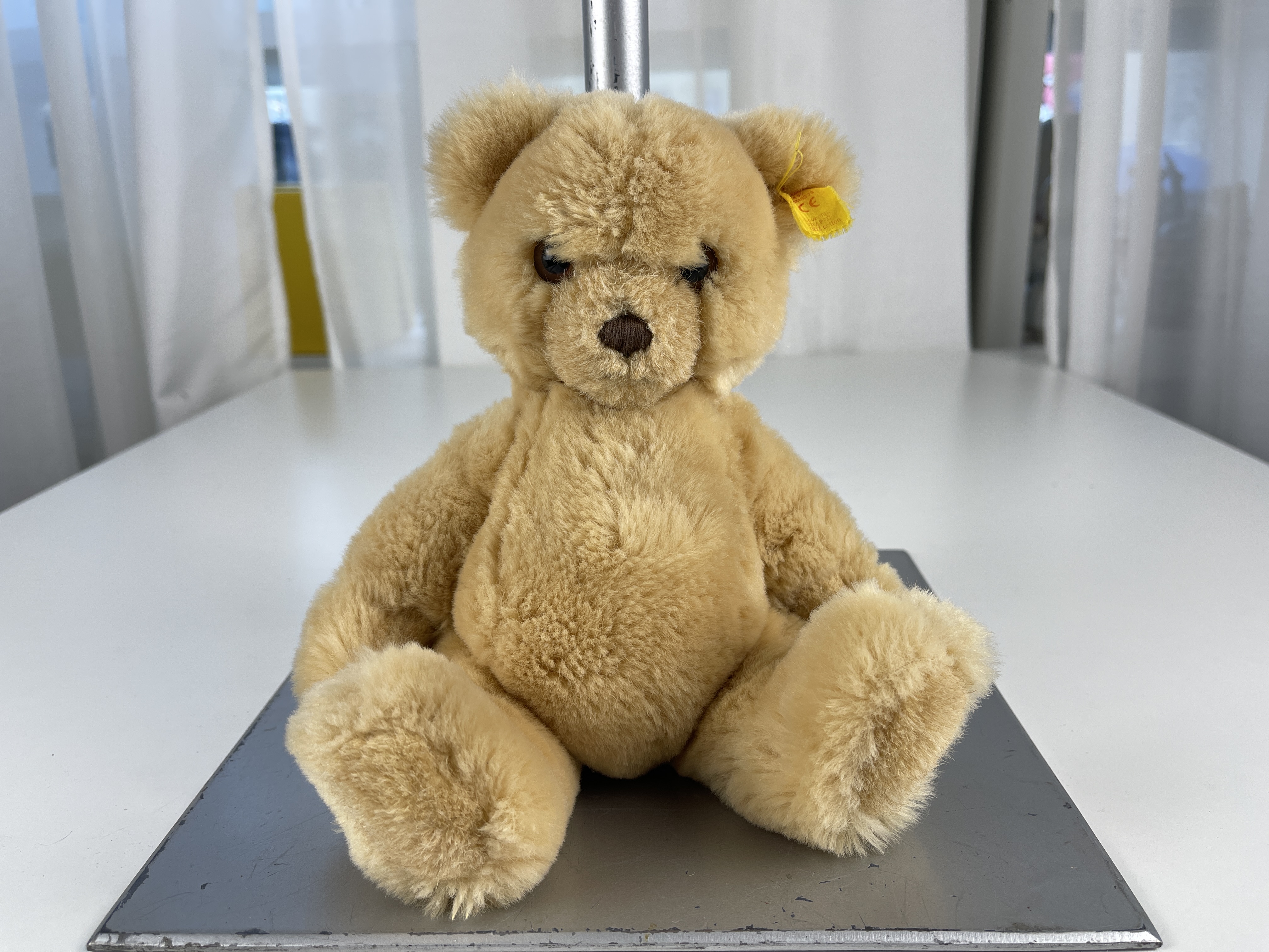 Steiff Tier Teddy Bär Petsy 012259 - 25 cm. Guter Zustand 