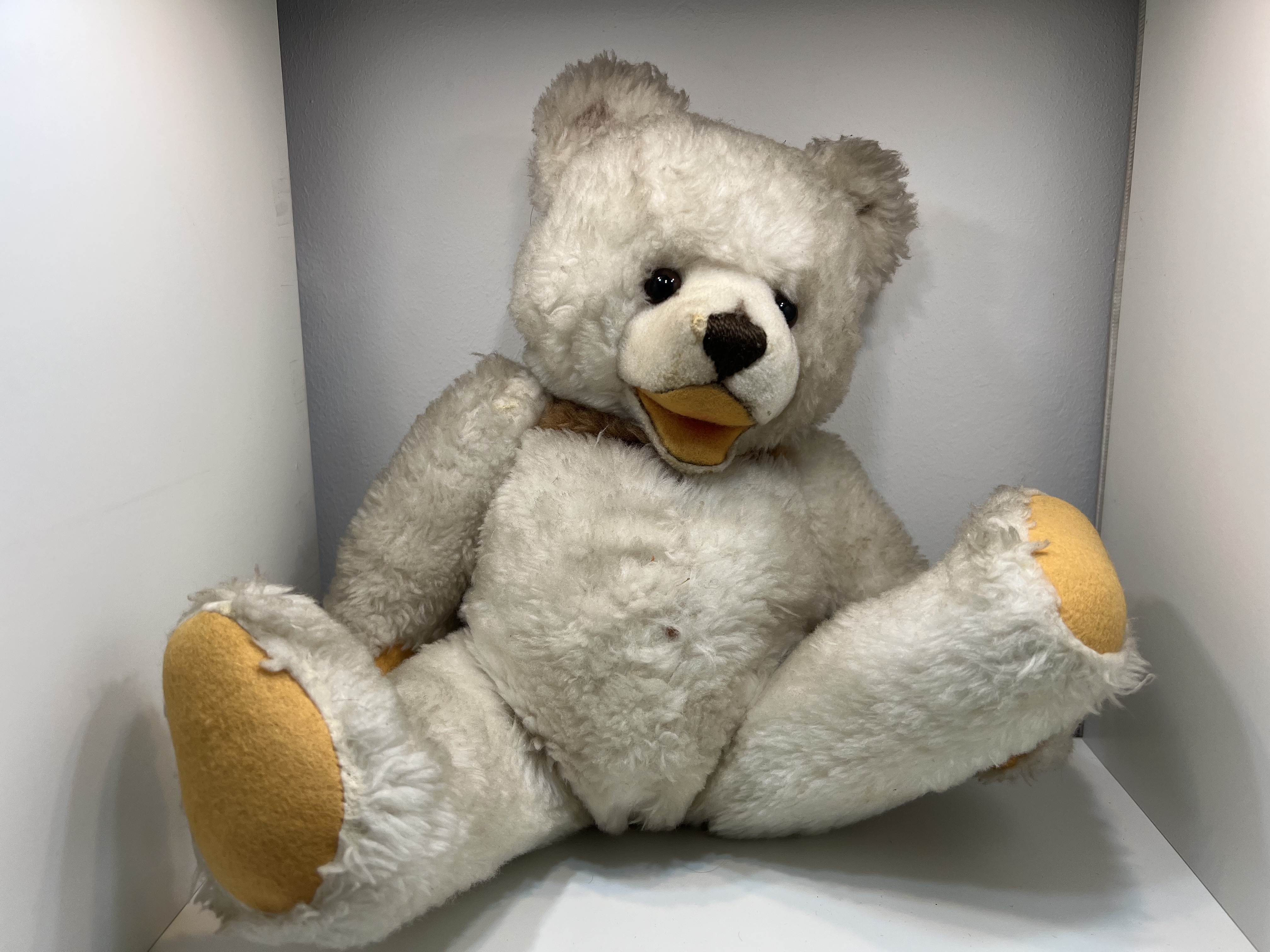 Steiff Teddy Original 30cm Top Zustand 