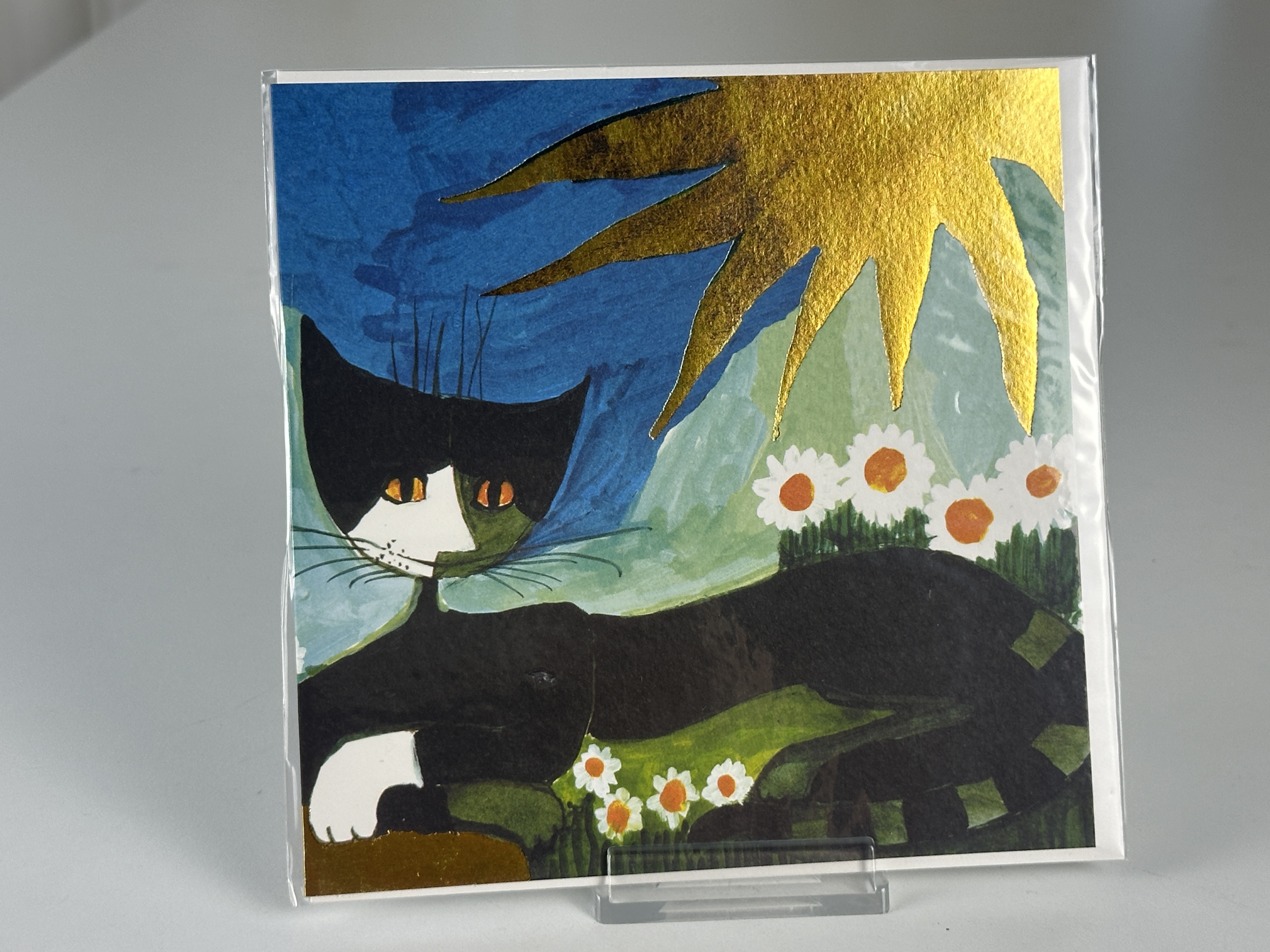 Rosina Wachtmeister 66-987-20-7 Grußkarten Set 5 Stück je 16 cm - Unbenutzt