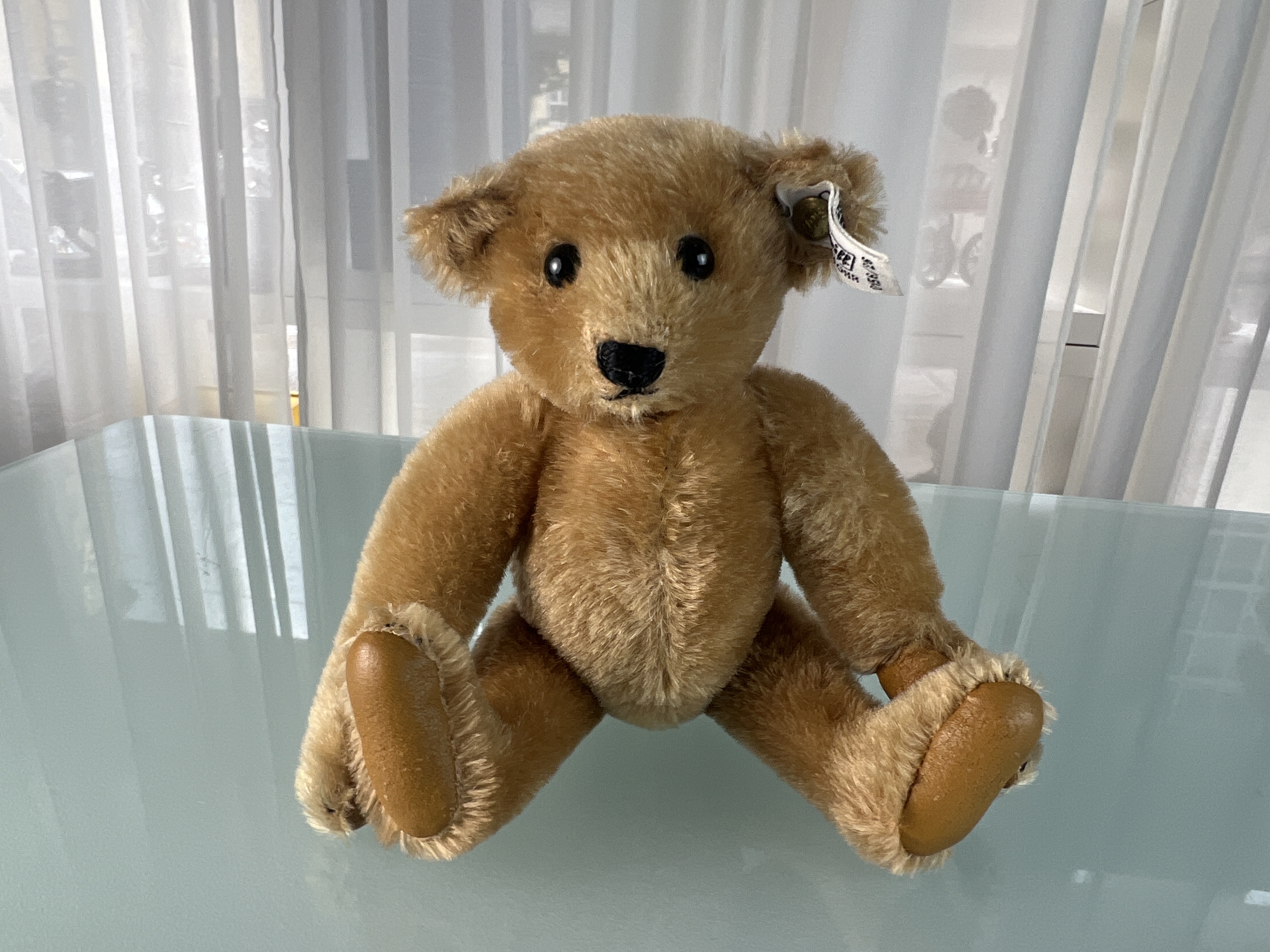 Steiff Tier 0156/26 Teddybär Bär 23 cm. Top Zustand 