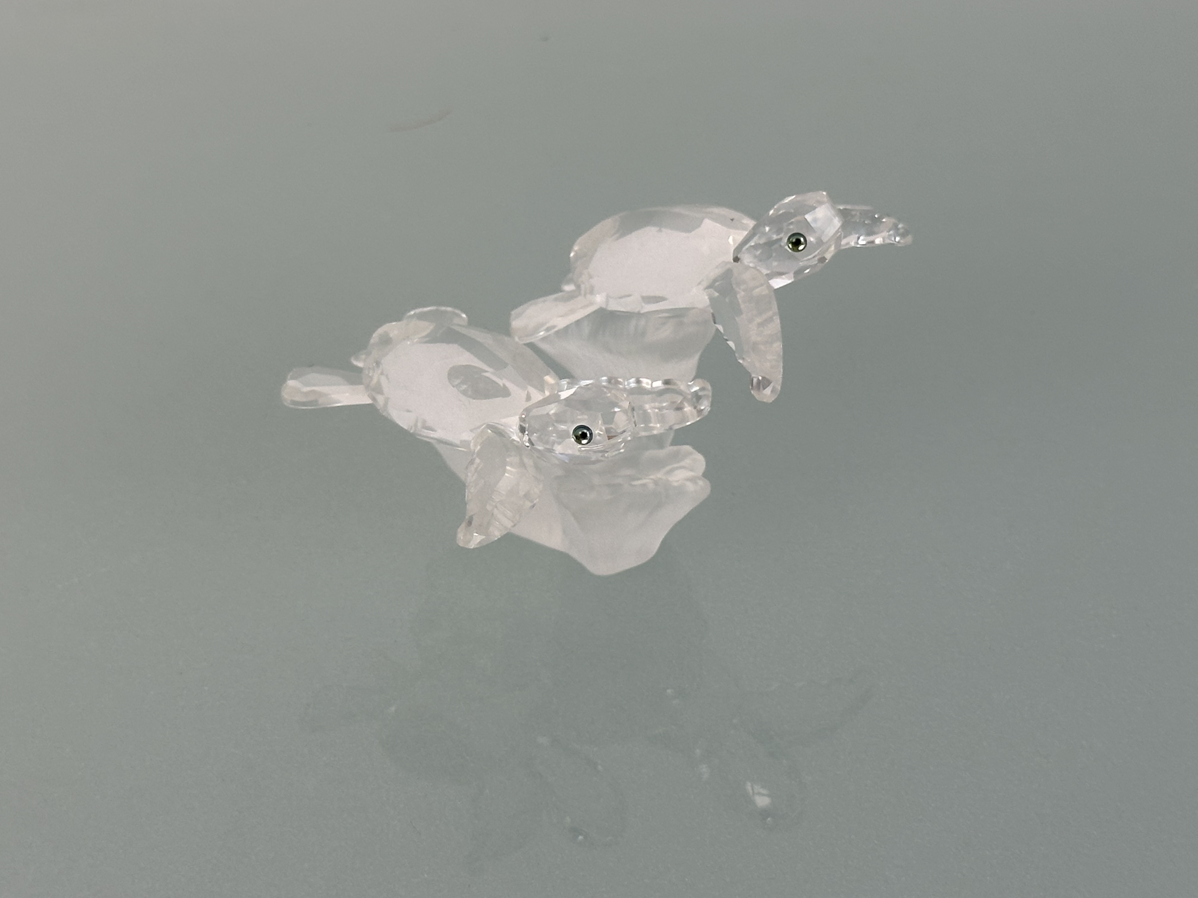 Swarovski Figur 826480 Baby Schildkröten 9 cm. Top Zustand