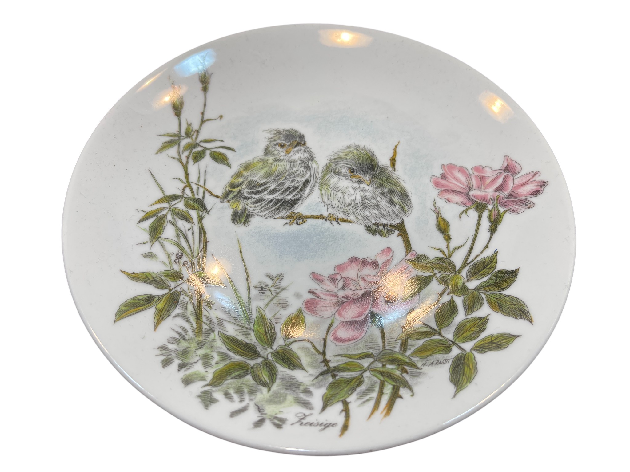 Kaiser Sammlerteller Porzellan Teller 19,5 cm Ø. 1 Wahl - Top Zustand    