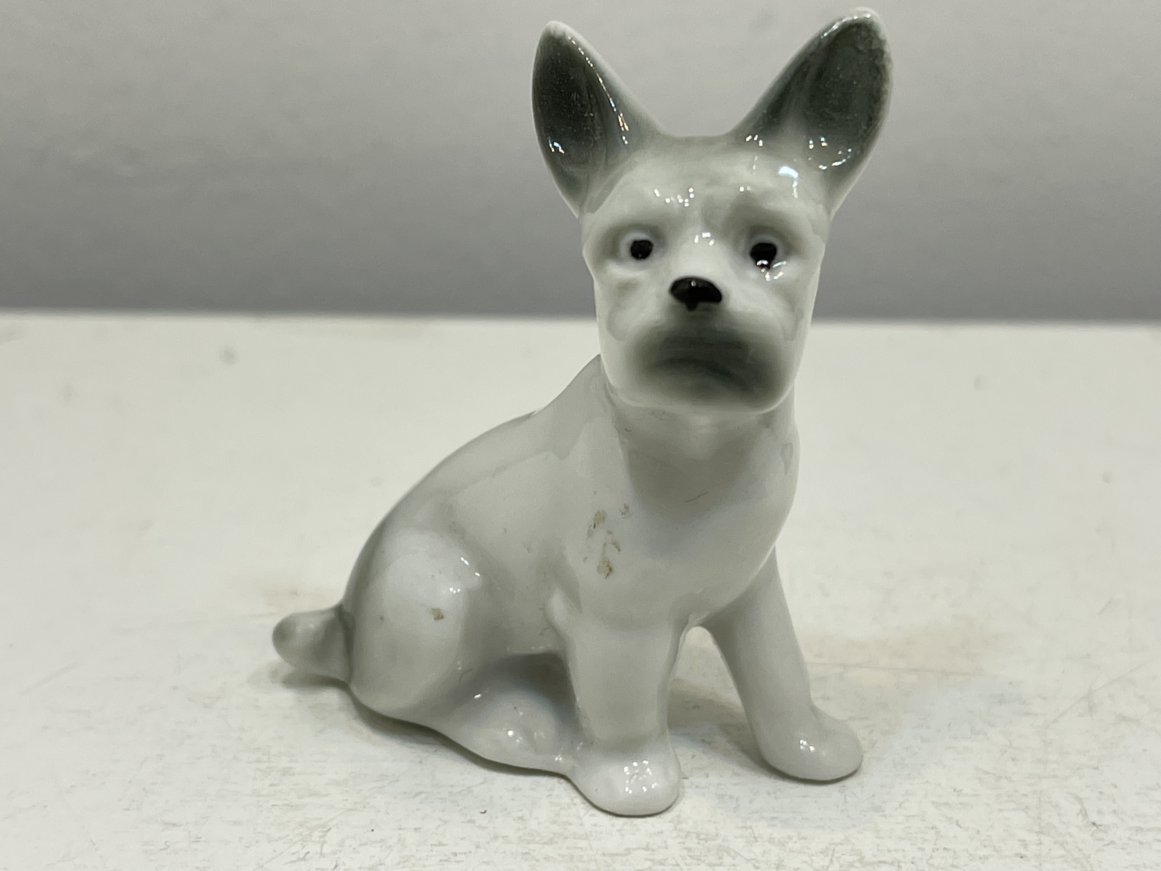 Porzellan Sammler Figur Hund 6 cm. - Top Zustand  