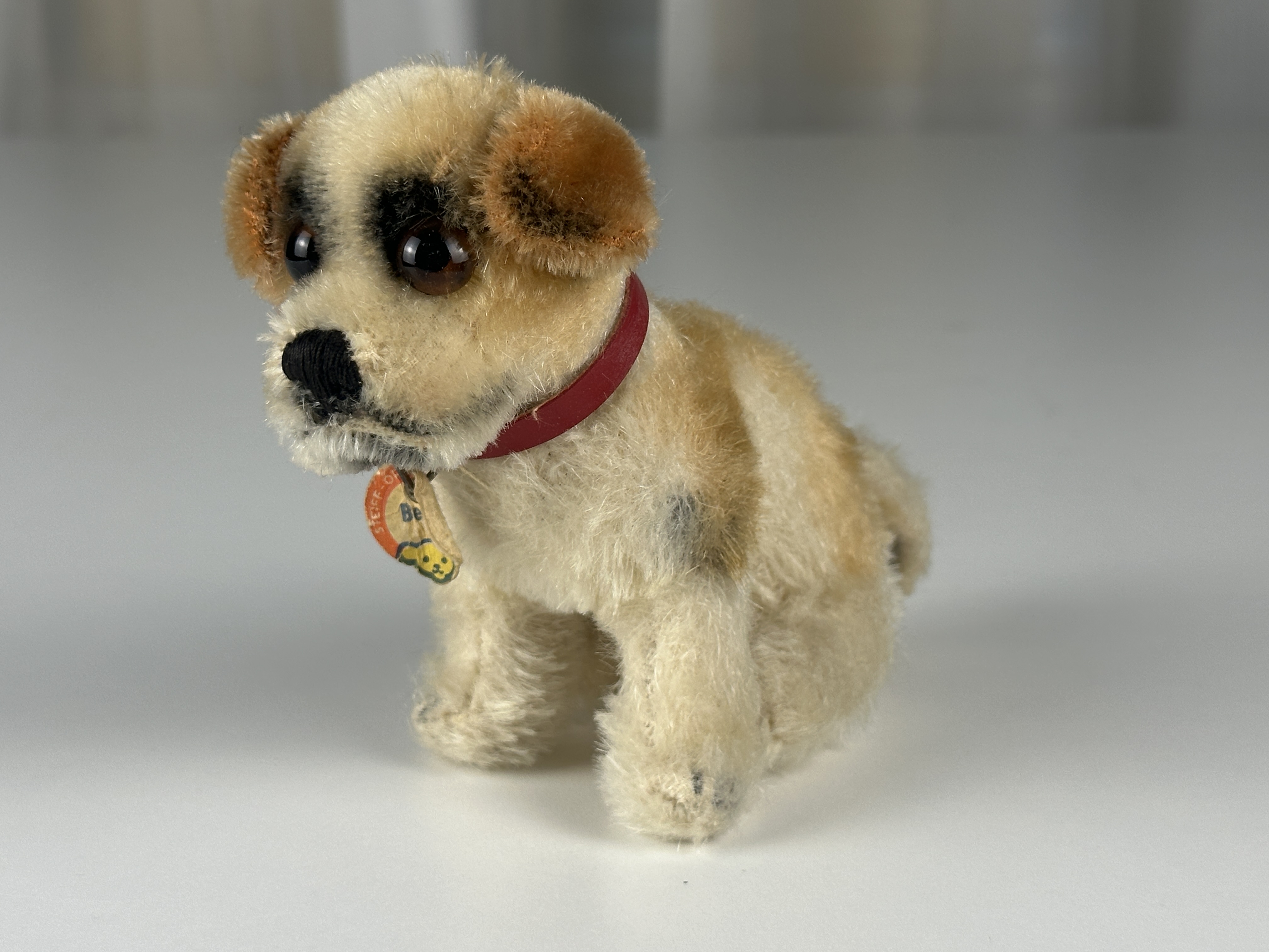Steiff Tier Bernie Hund 11 x 12 cm. Top Zustand