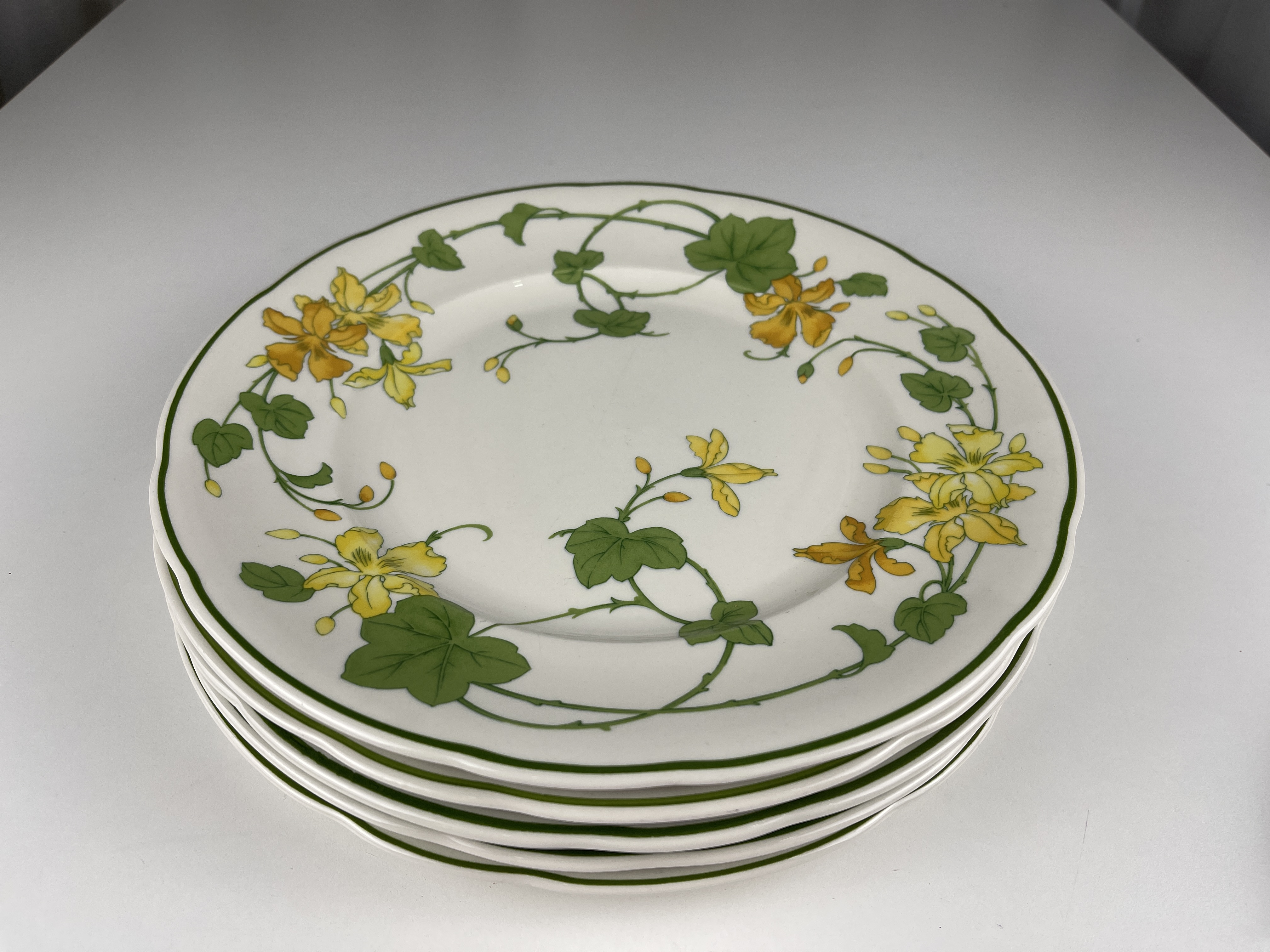 Villeroy & Boch Porzellan Geranium Teller 5 Stück je 26 cm - Zustand siehe Fotos