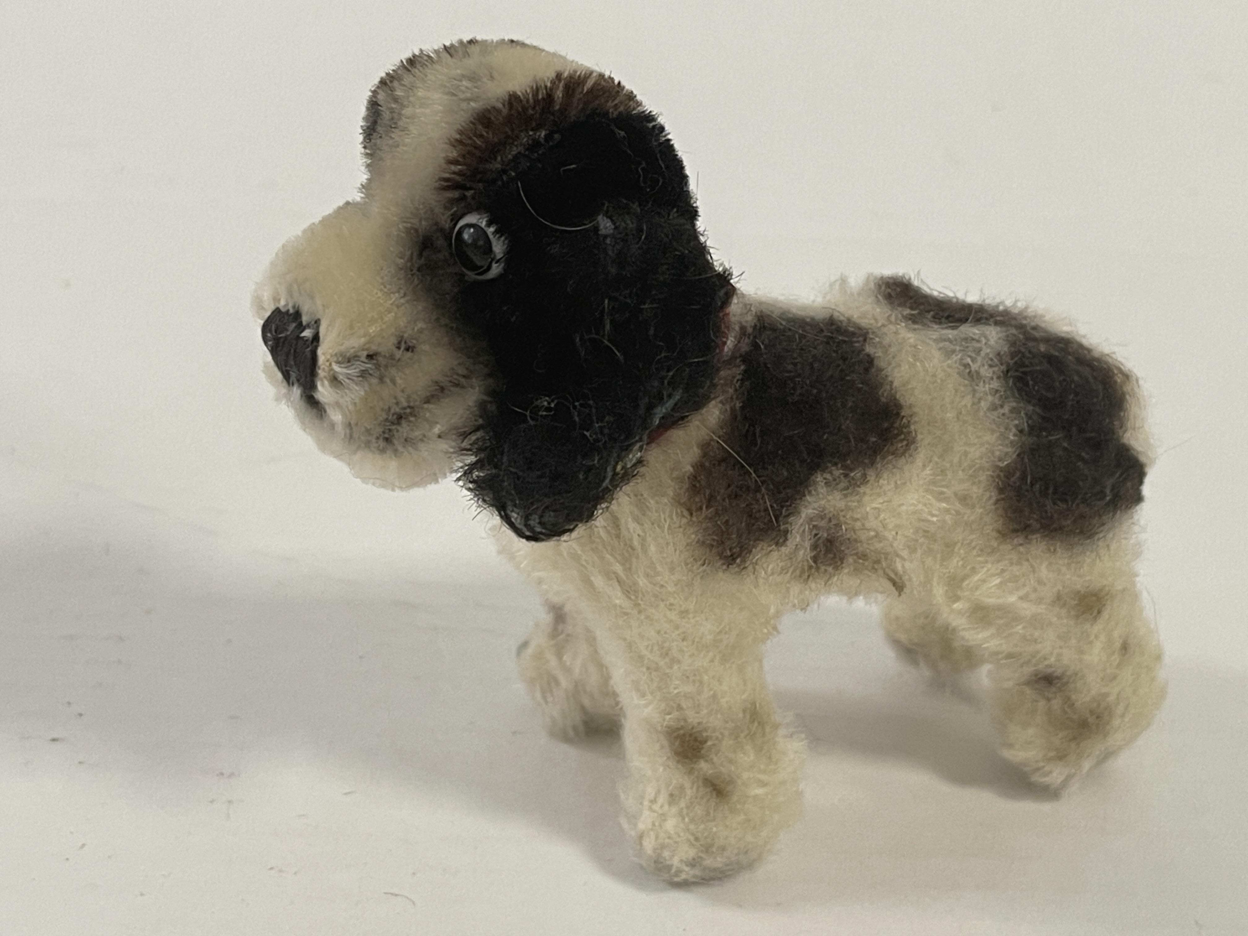 Steiff Tier Hund Cocker Spaniel 11 x 10 cm. Zustand siehe Fotos  