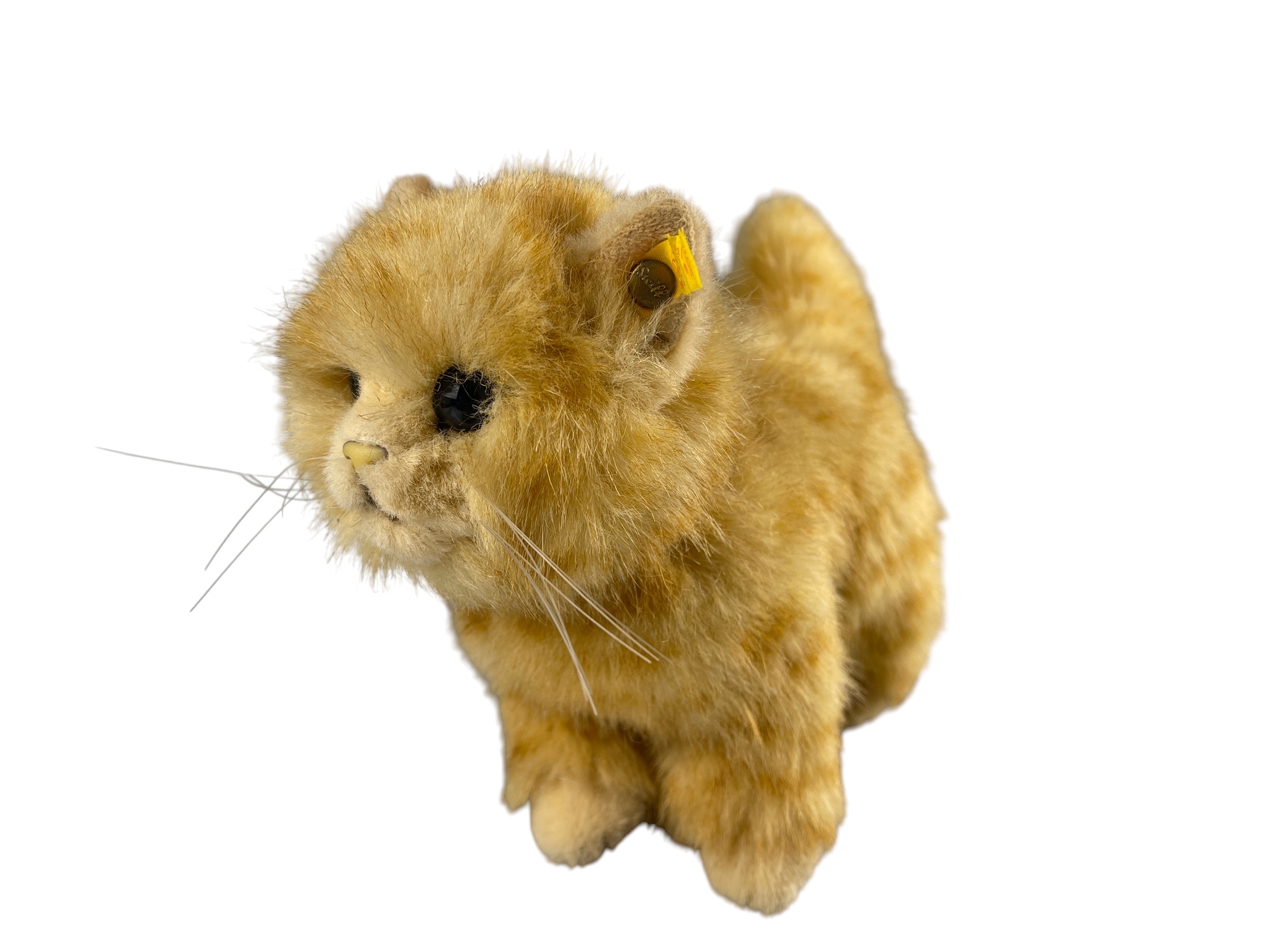 Steiff Tier 074912 Katze Jungkatze 21 cm. Top Zustand  