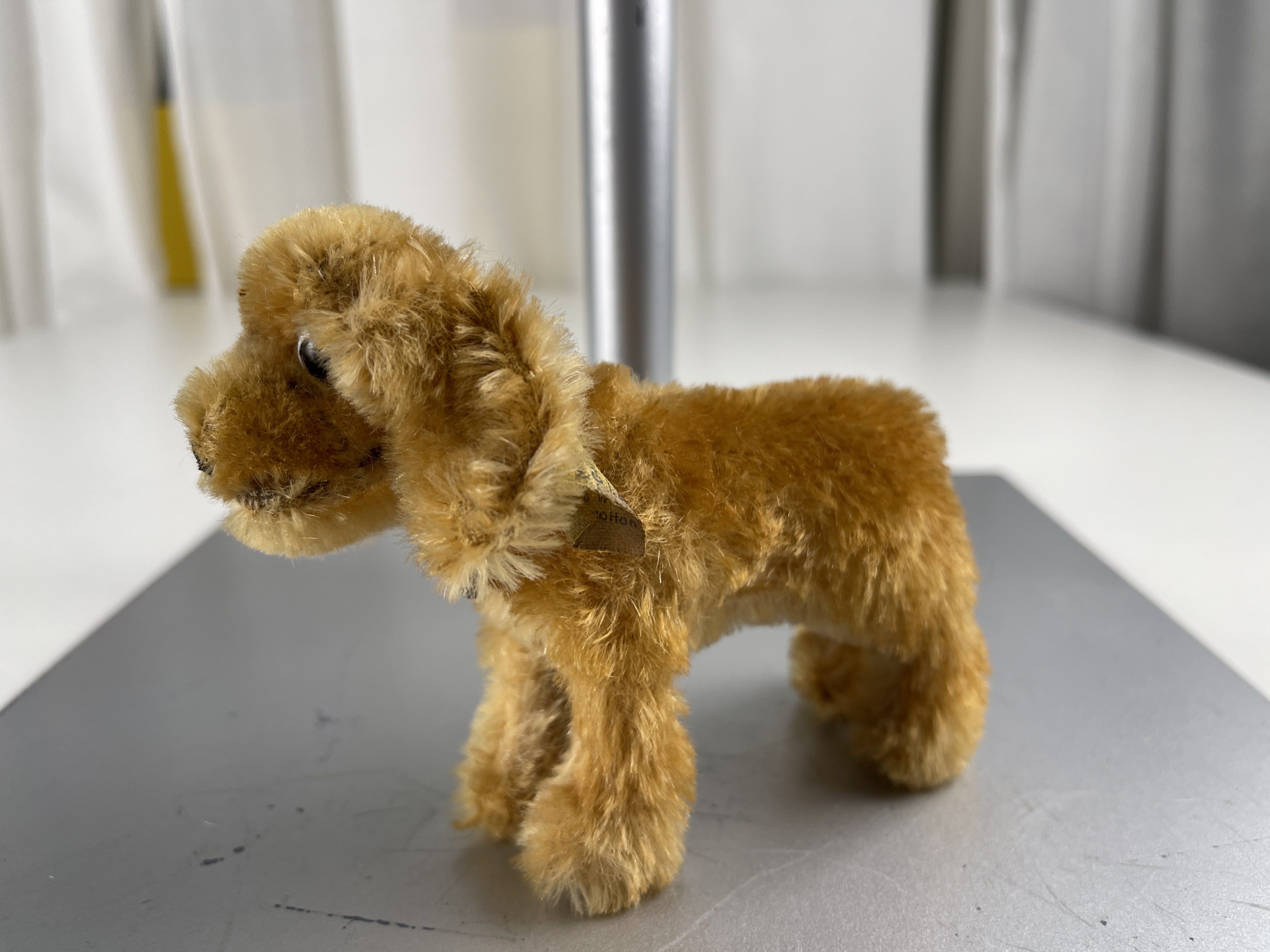 Steiff Tier 4273/12 Hund 12 cm Top Zustand. 