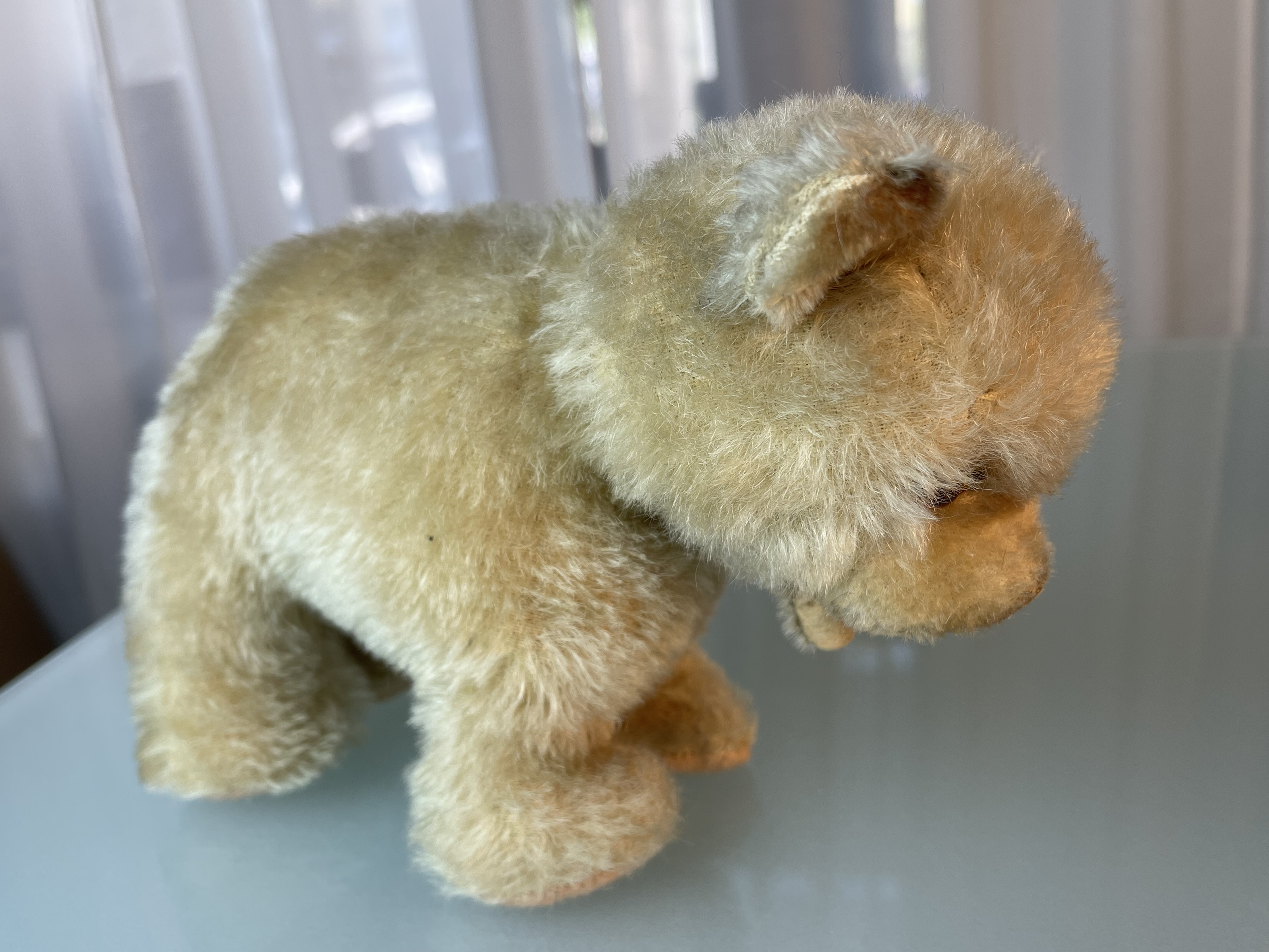 Steiff Tier Teddy Bär 21 x 14 cm Top Zustand.   