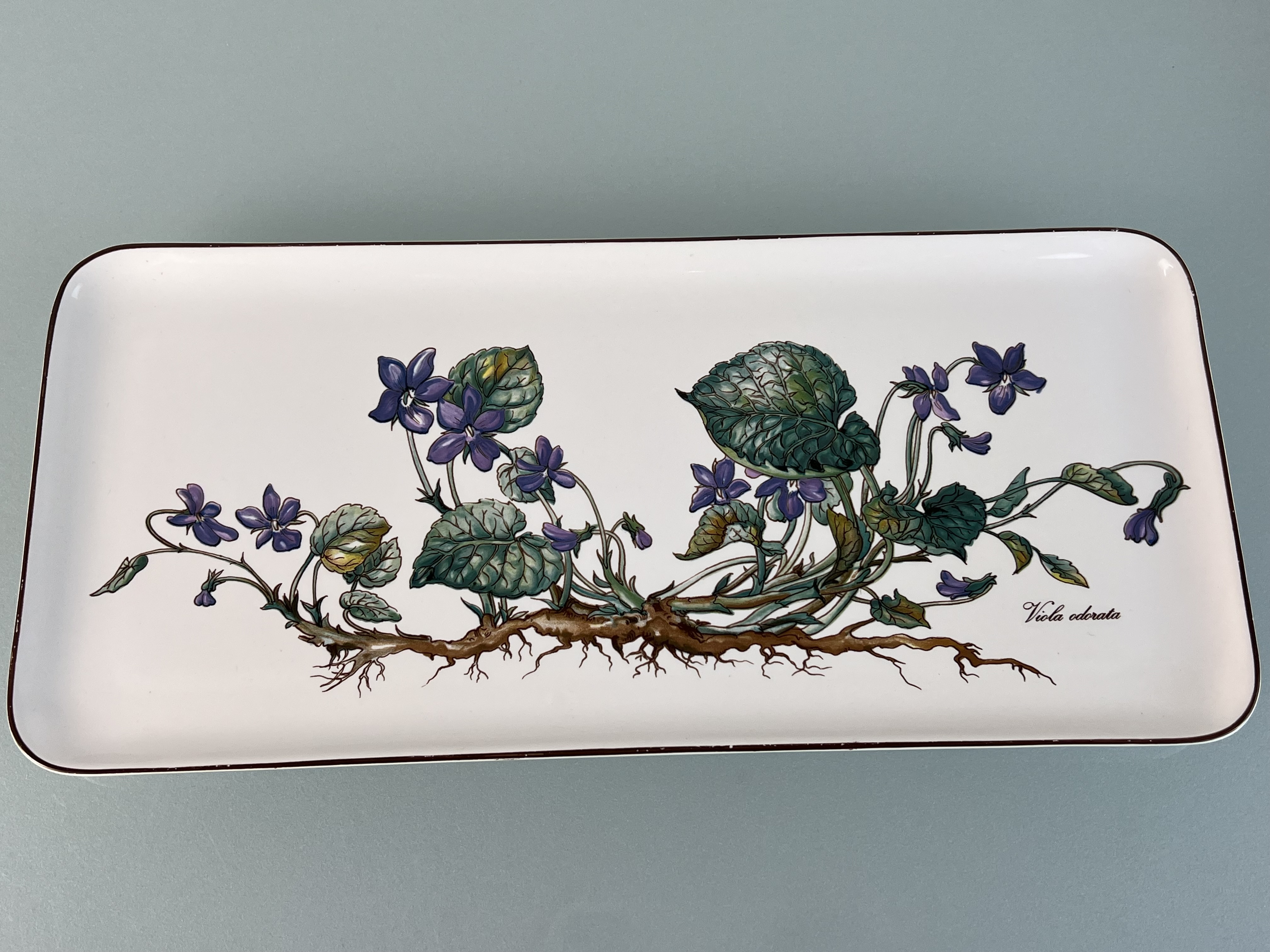 Villeroy & Boch Botanica Königskuchenplatte 15,7cm x 34cm. 1 Wahl Top Zustand siehe Fotos