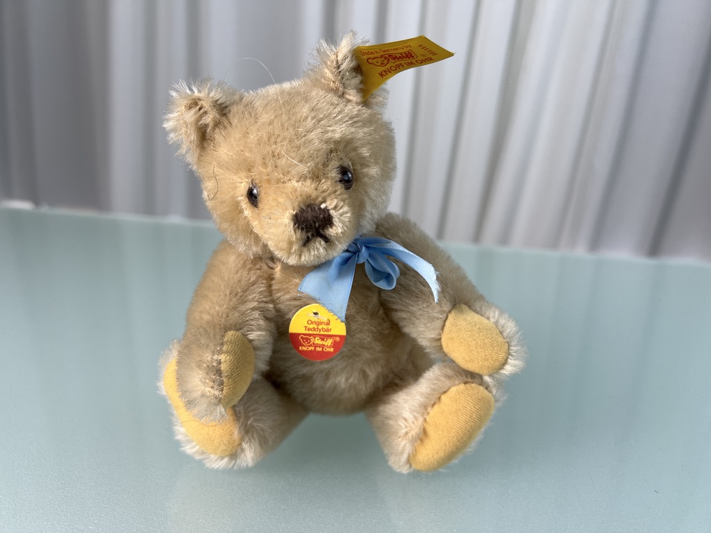 Steiff Tier 001154 Teddy Bär 18 cm. Top Zustand