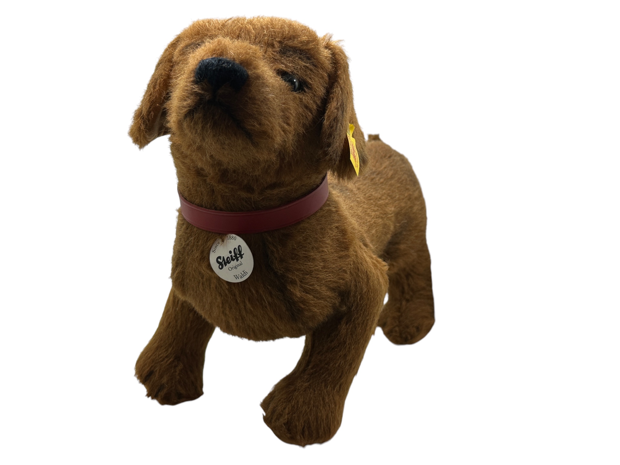 Steiff Tier 078712 Waldi Dackel Alpaca 35 cm. Top Zustand