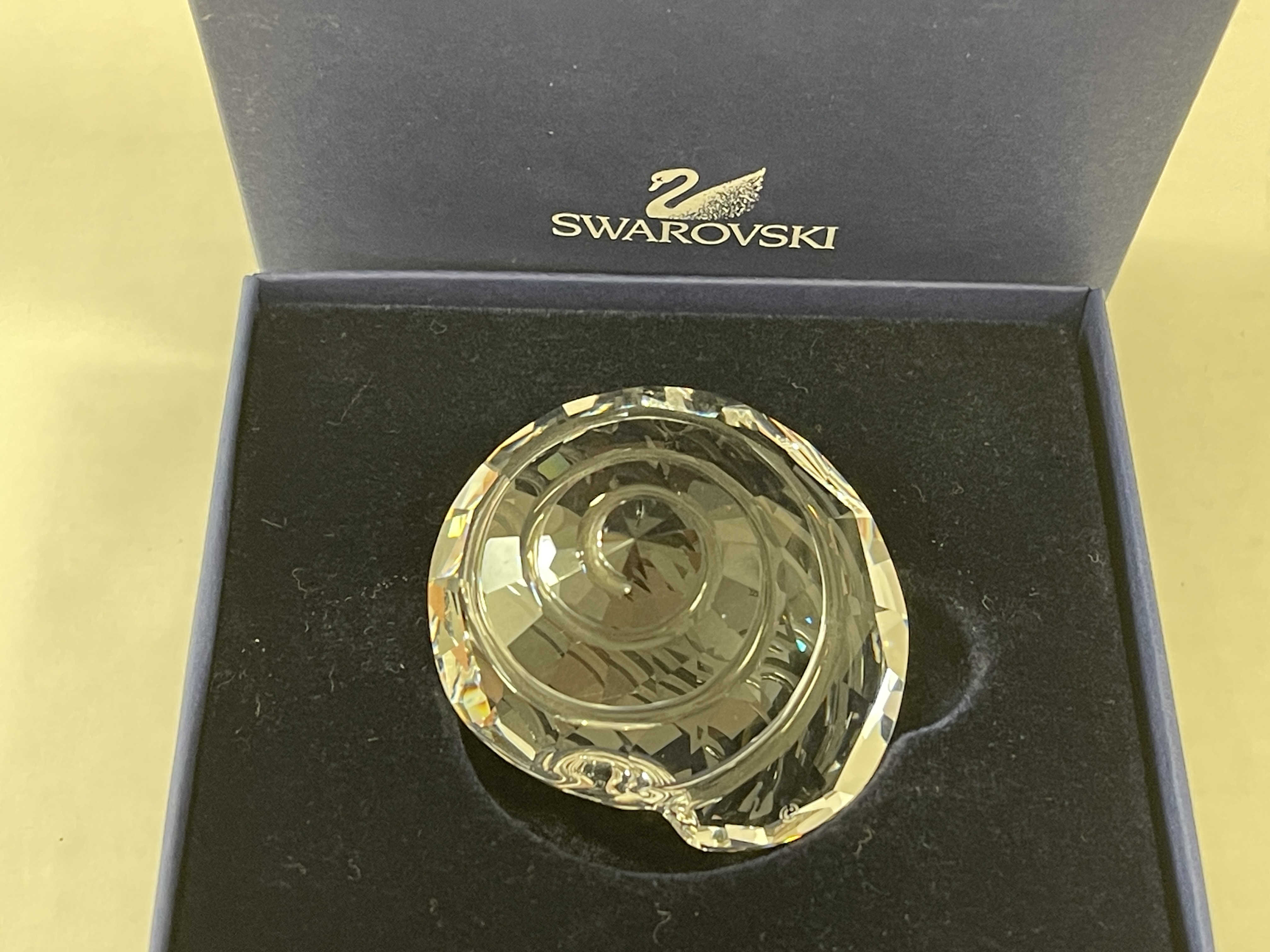  Swarovski Figur 880693 Muschel 5 cm mit Ovp & Zertifikat Top Zustand  