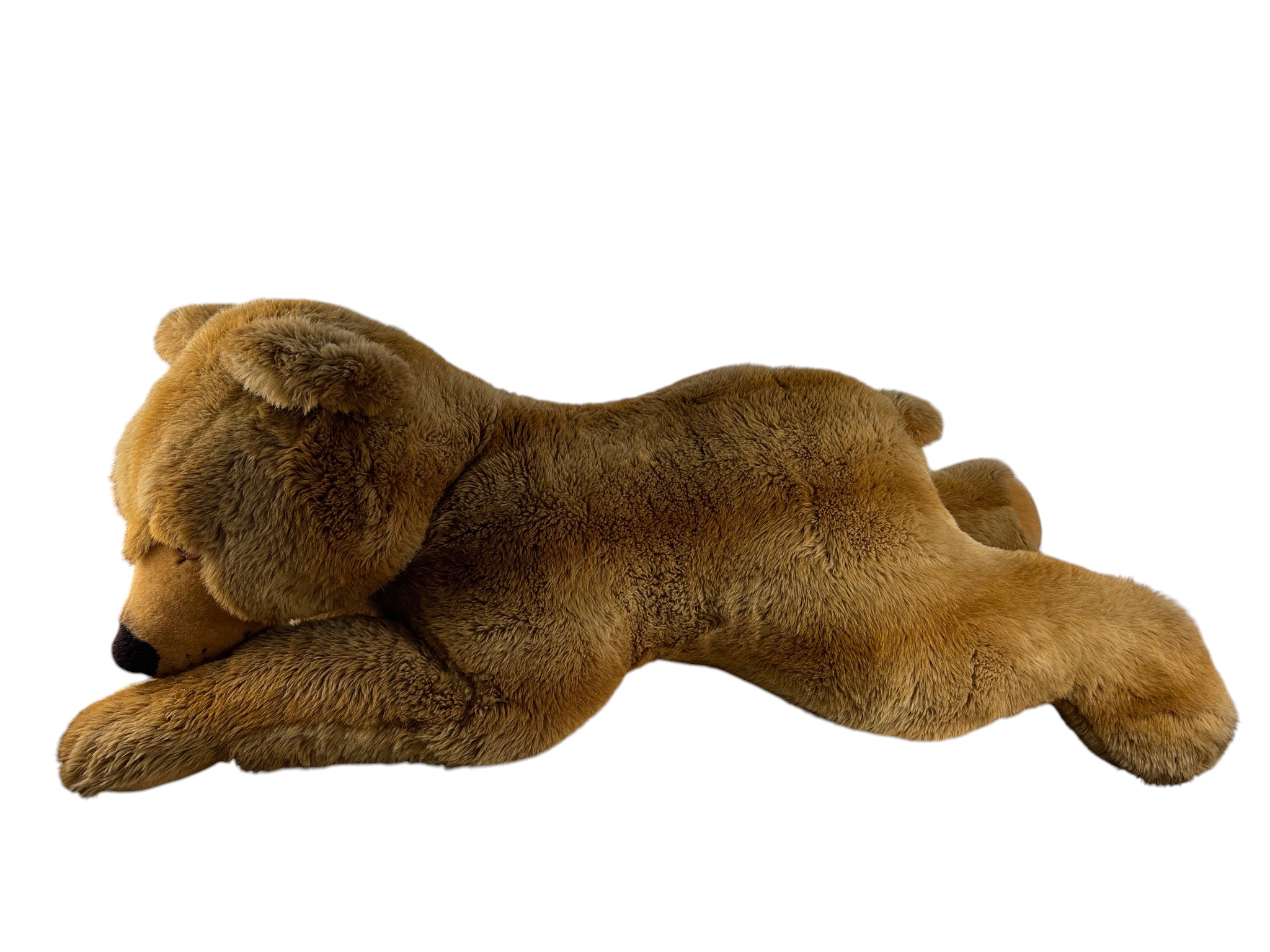 Steiff Tier Bär 0347/98 Molly liegend 125 cm. Top Zustand