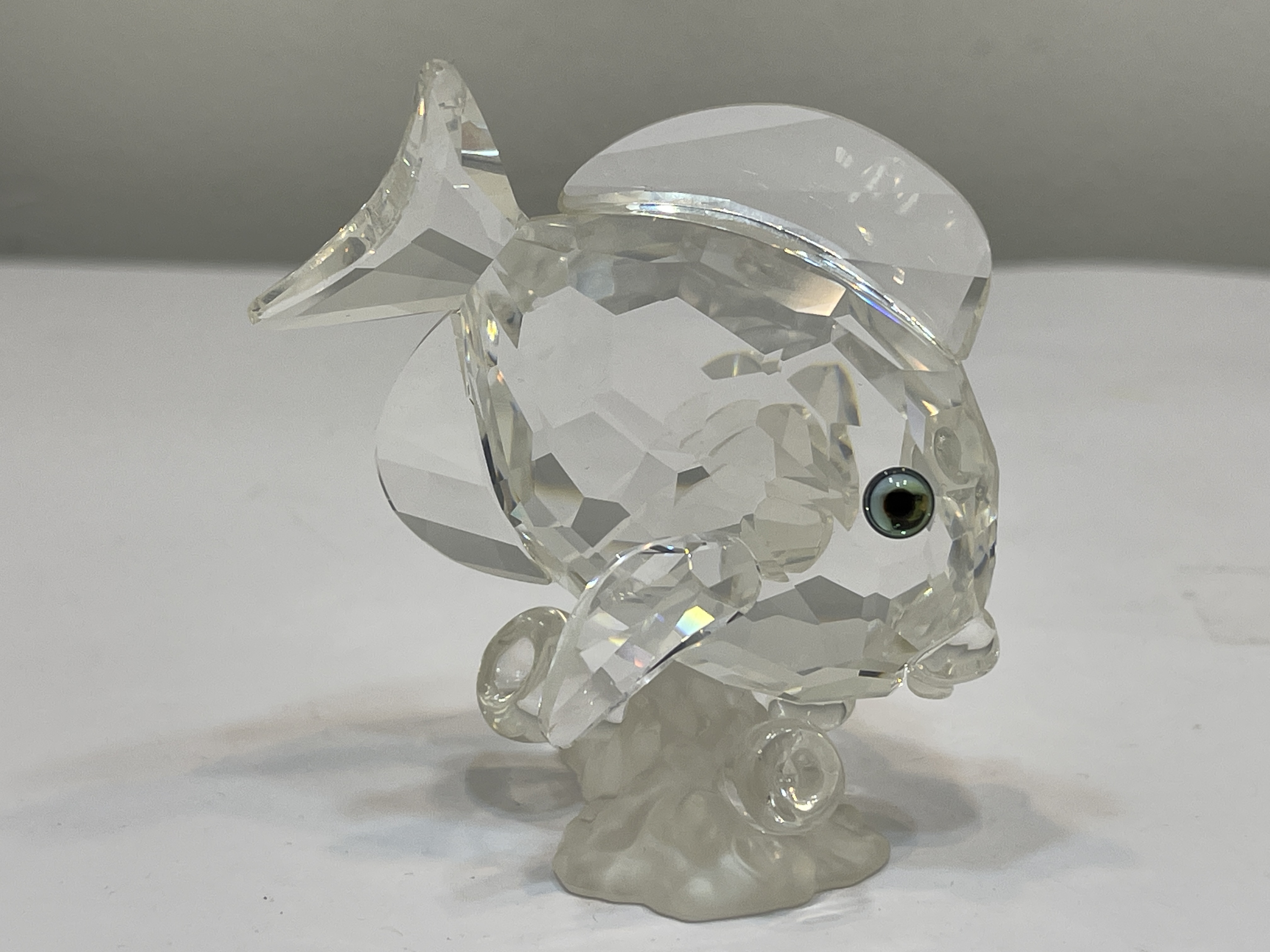 Swarovski Figur 883822 Doktorfisch 6 cm. Top Zustand   