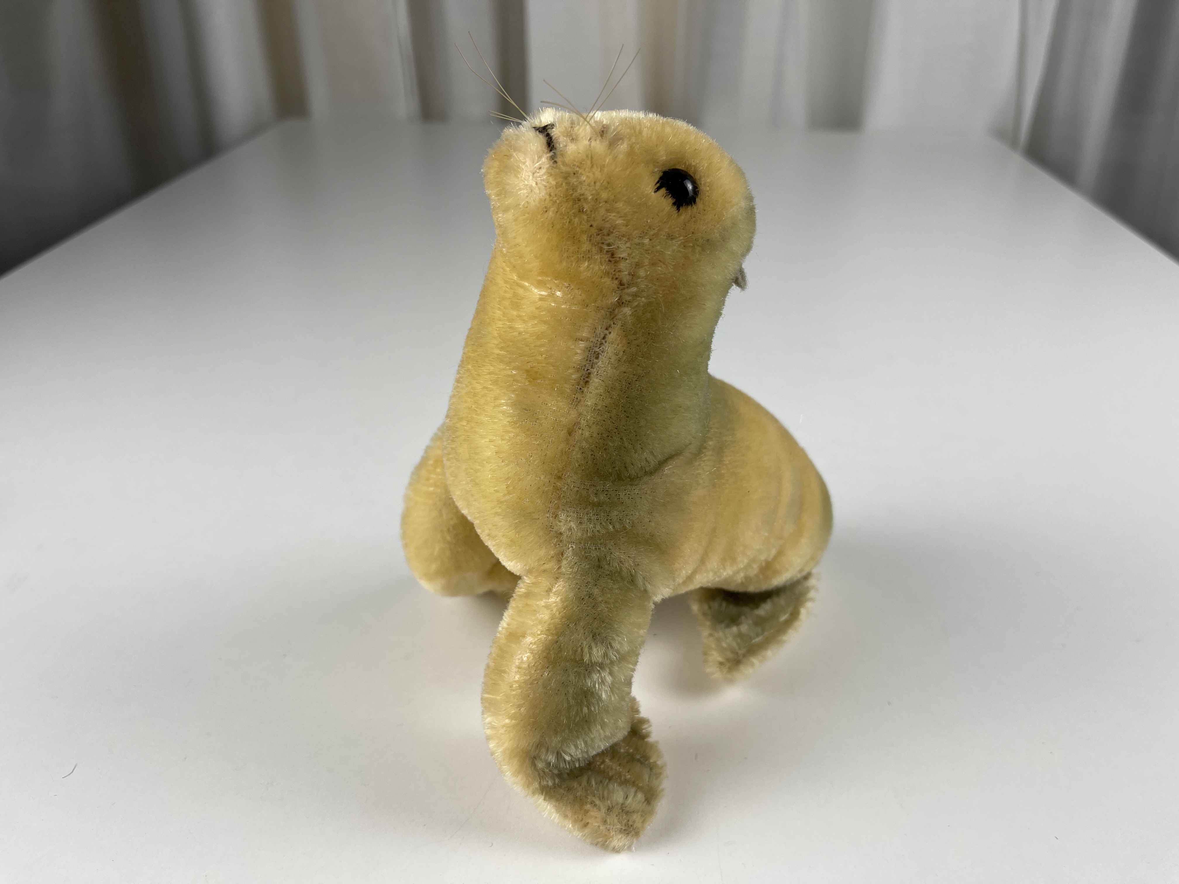 Steiff Tier Sammler Stofftier Robbe 18 cm Top Zustand 