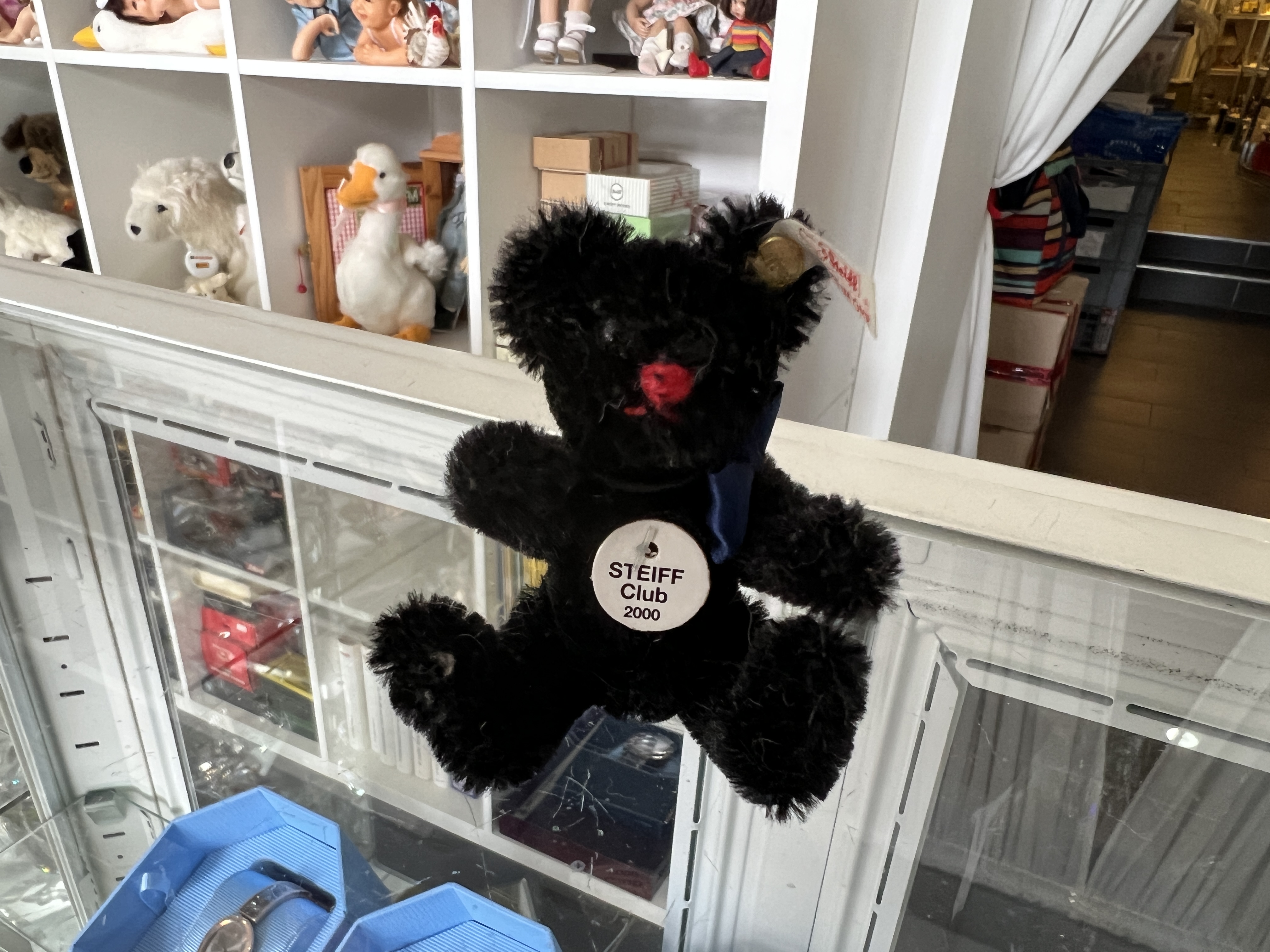 Steiff Tier Teddy Bär Club 2000 Bär. Top Zustand    