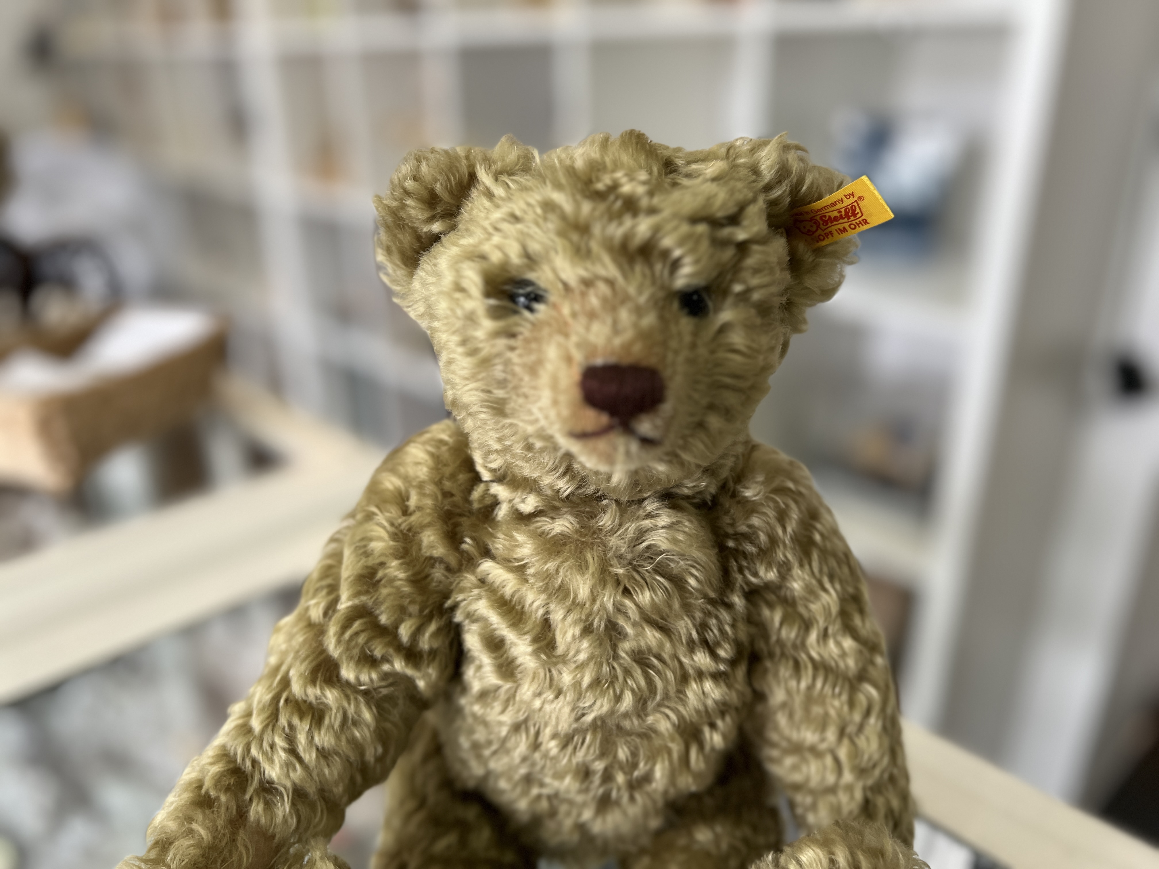Steiff Tier 420160 Club Teddy 1999 Bär. 35 cm. Mit Ovp. Top Zustand