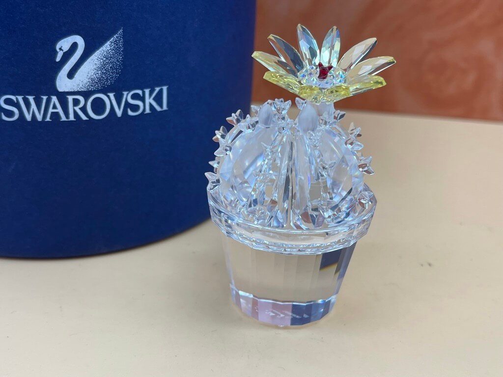 kann ein gummibaum draußen überwintern Ficus elastica 'Robusta'