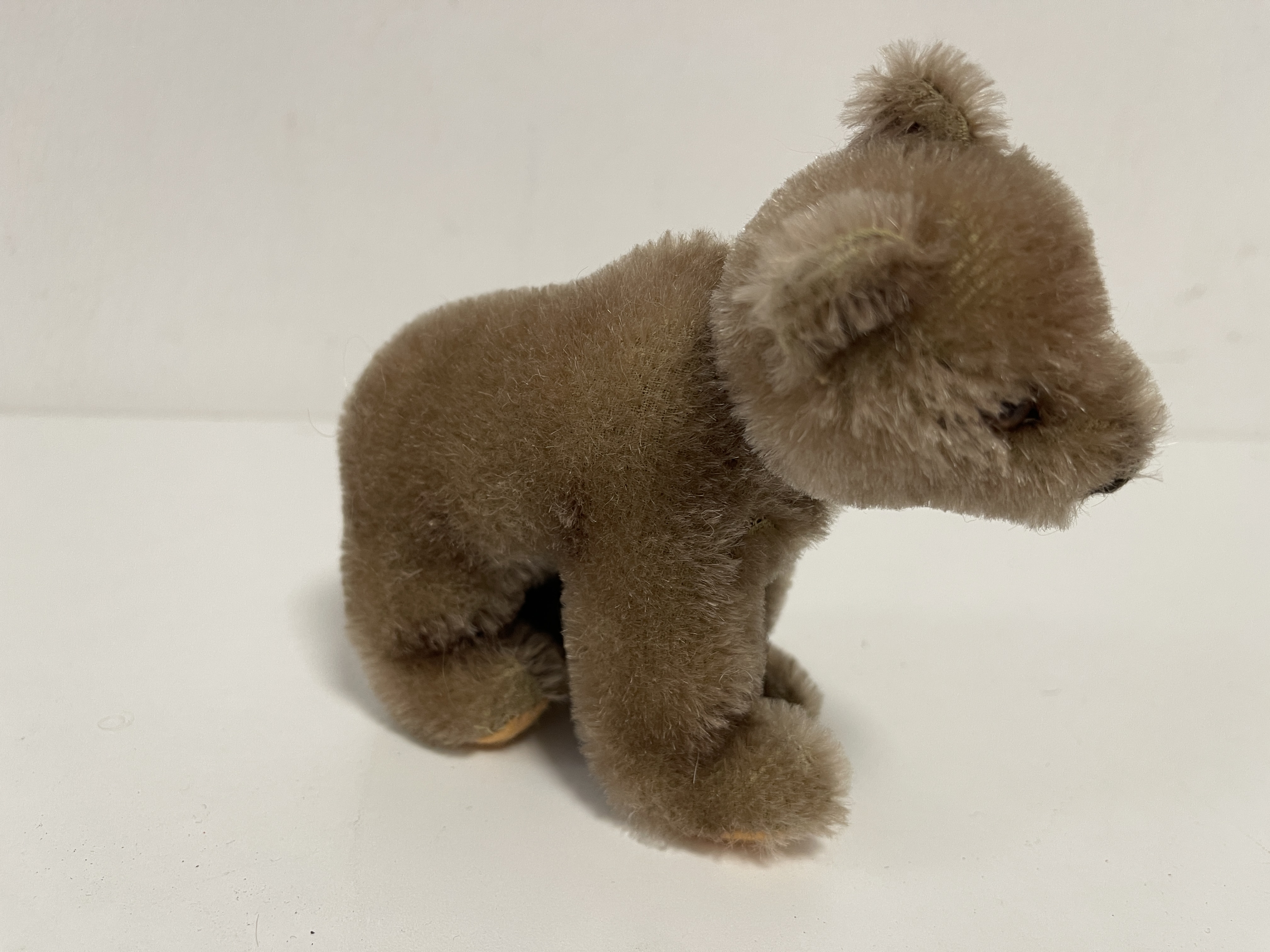 Steiff Tier Bär 14 cm. Top Zustand