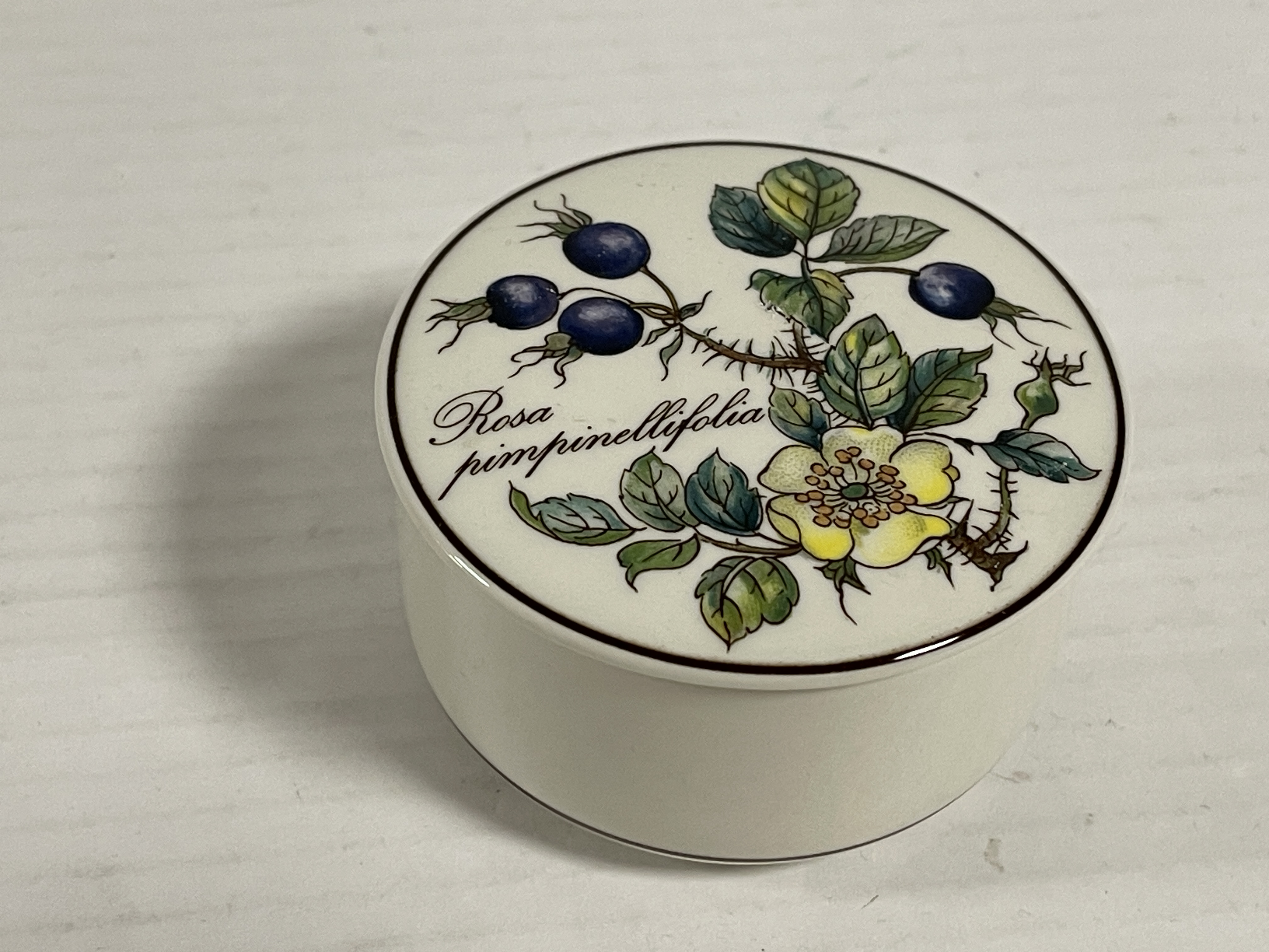 Villeroy und Boch Porzellan Dose 3 x 7 cm - Guter Zustand   