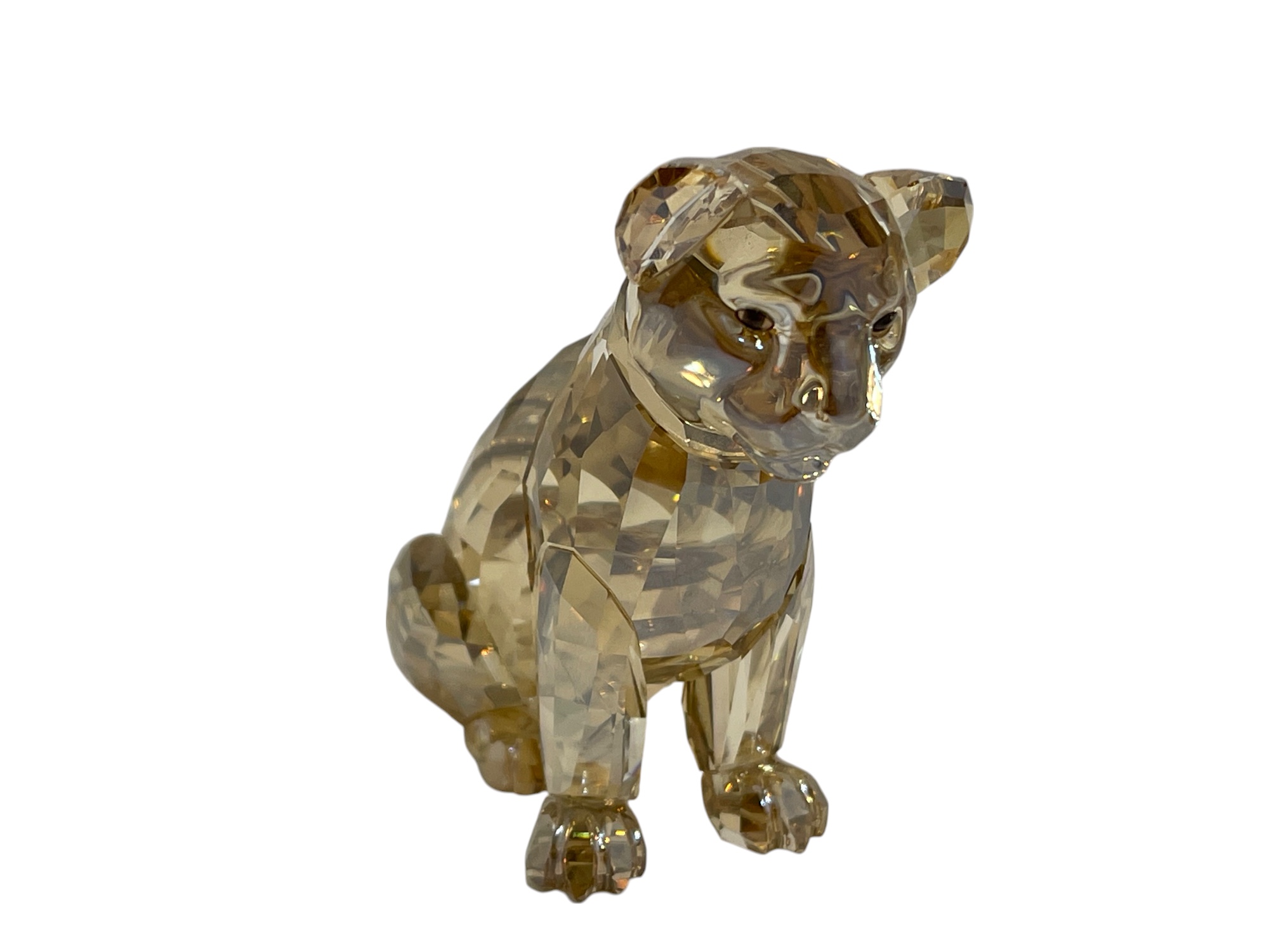  Swarovski Figur 5135896 SCS 2016 Löwenbaby 7,4 cm - Top Zustand    