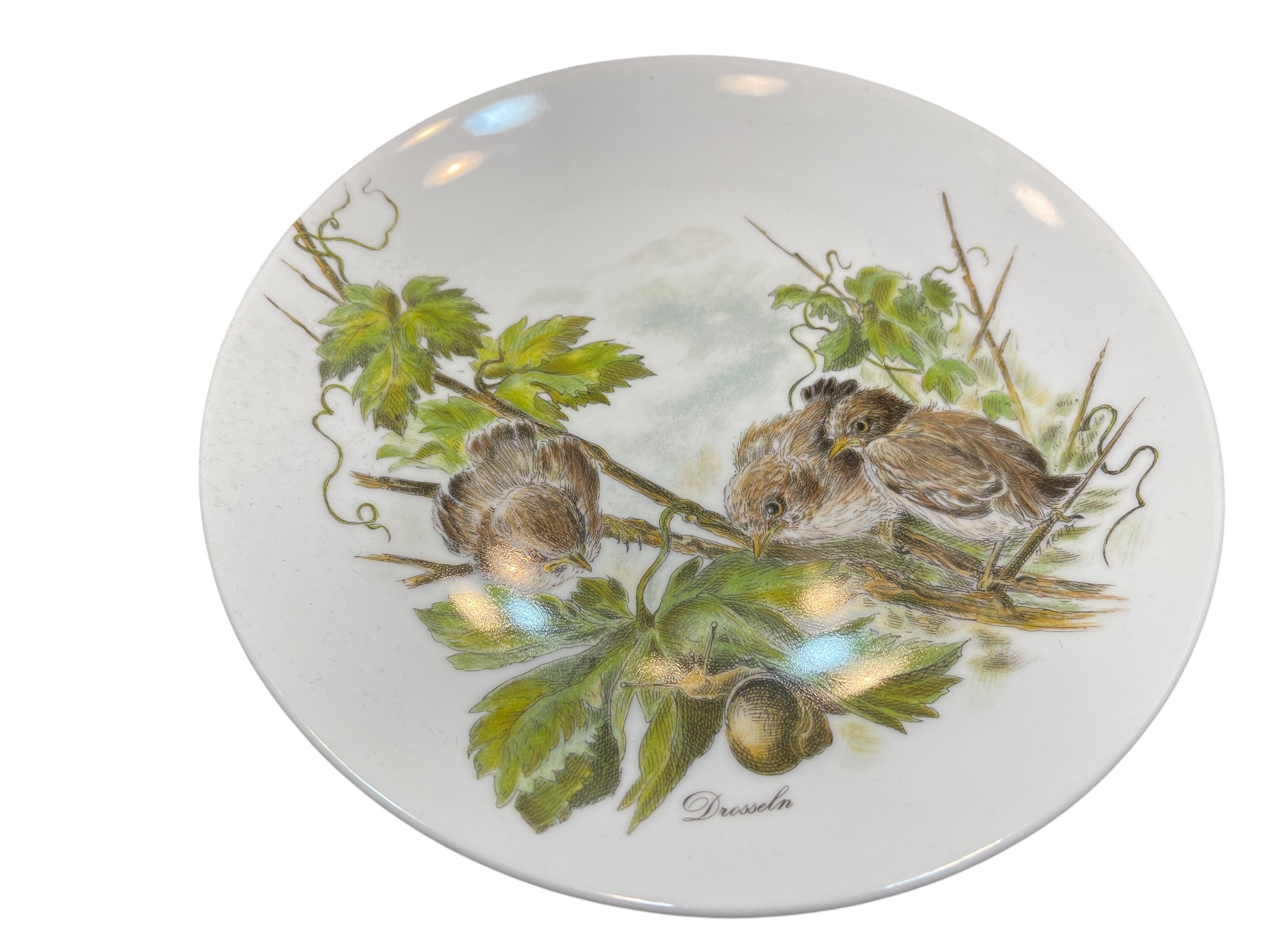 Kaiser Sammlerteller Porzellan Teller 19,5 cm Ø. 1 Wahl - Top Zustand   