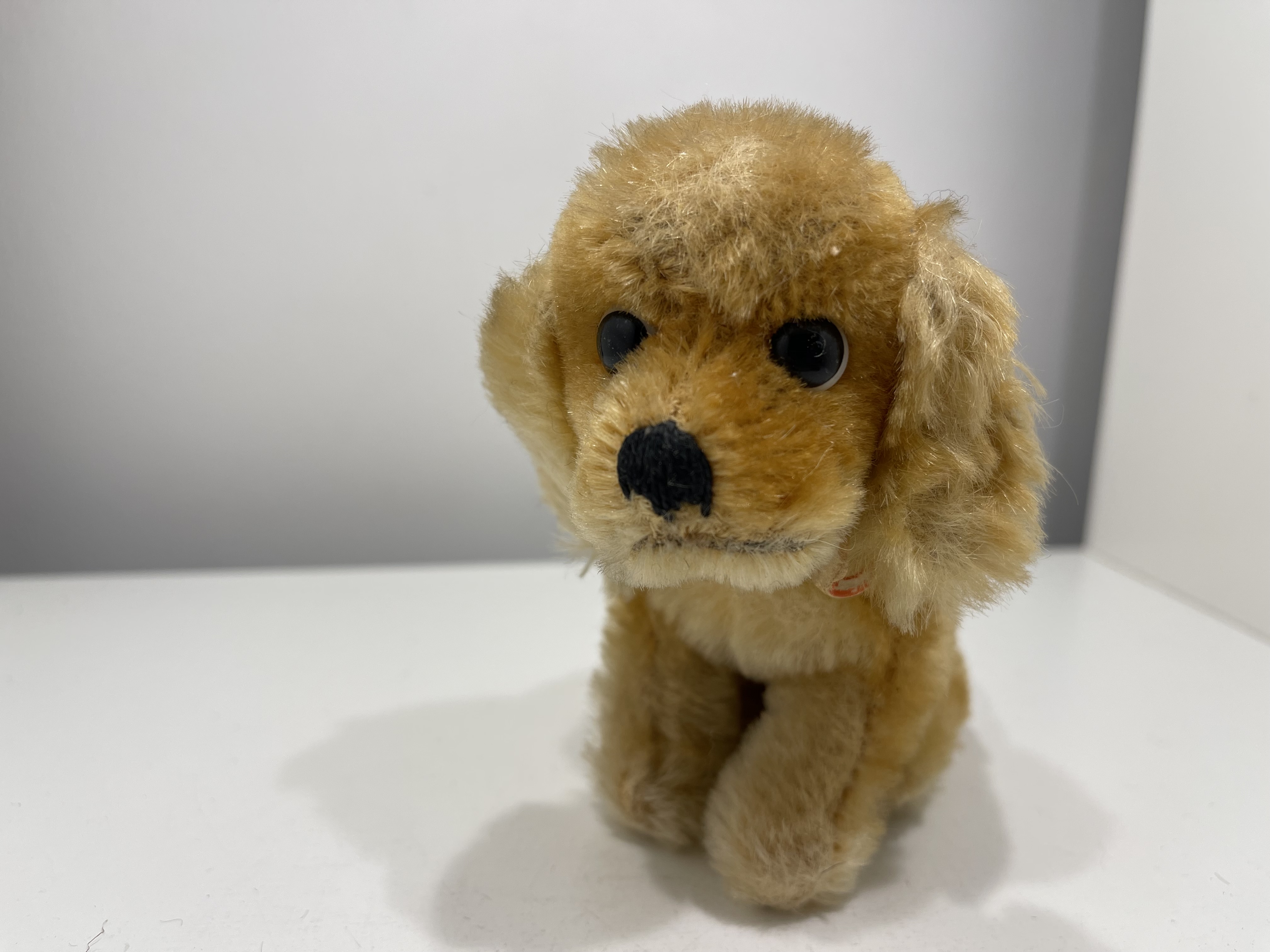 Steiff Tier Hund Cocker Spaniel 11 cm. Zustand